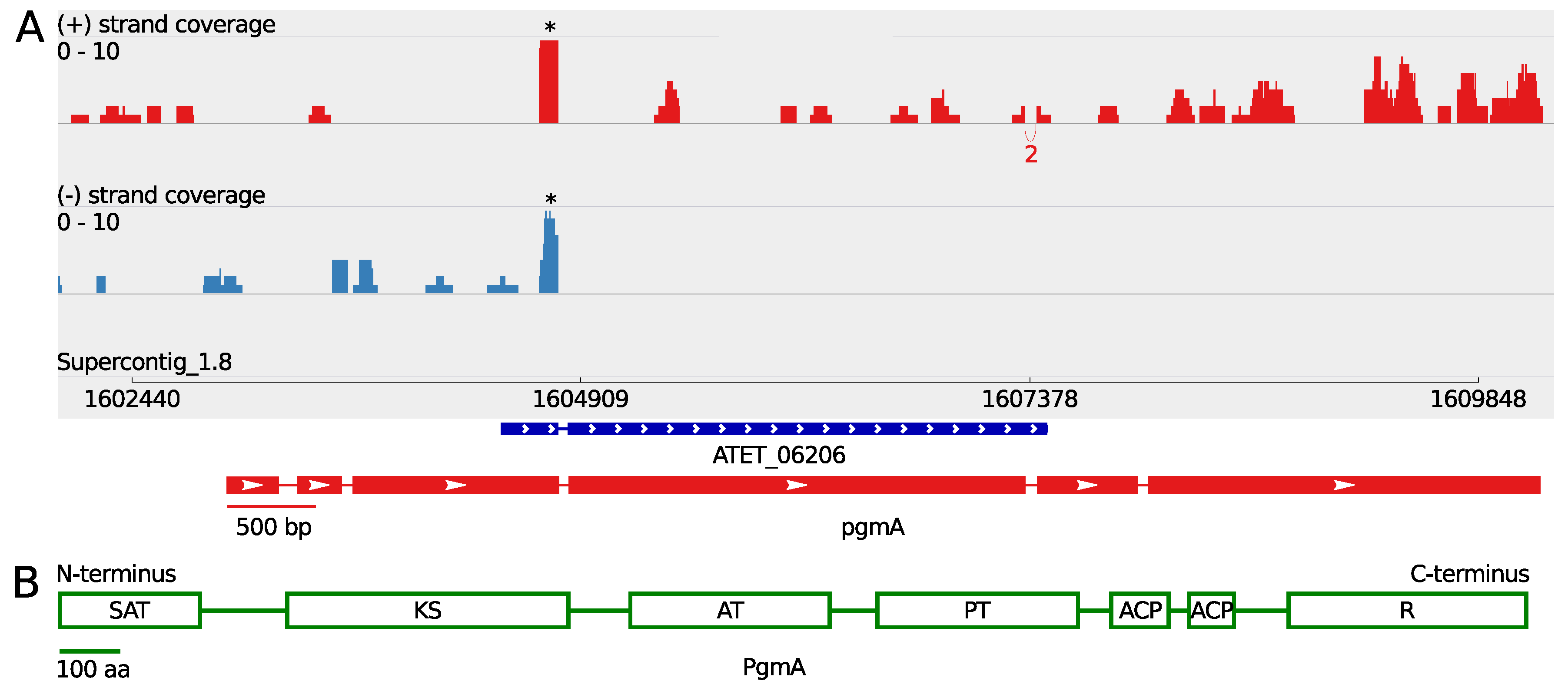 Microorganisms 05 00022 g001