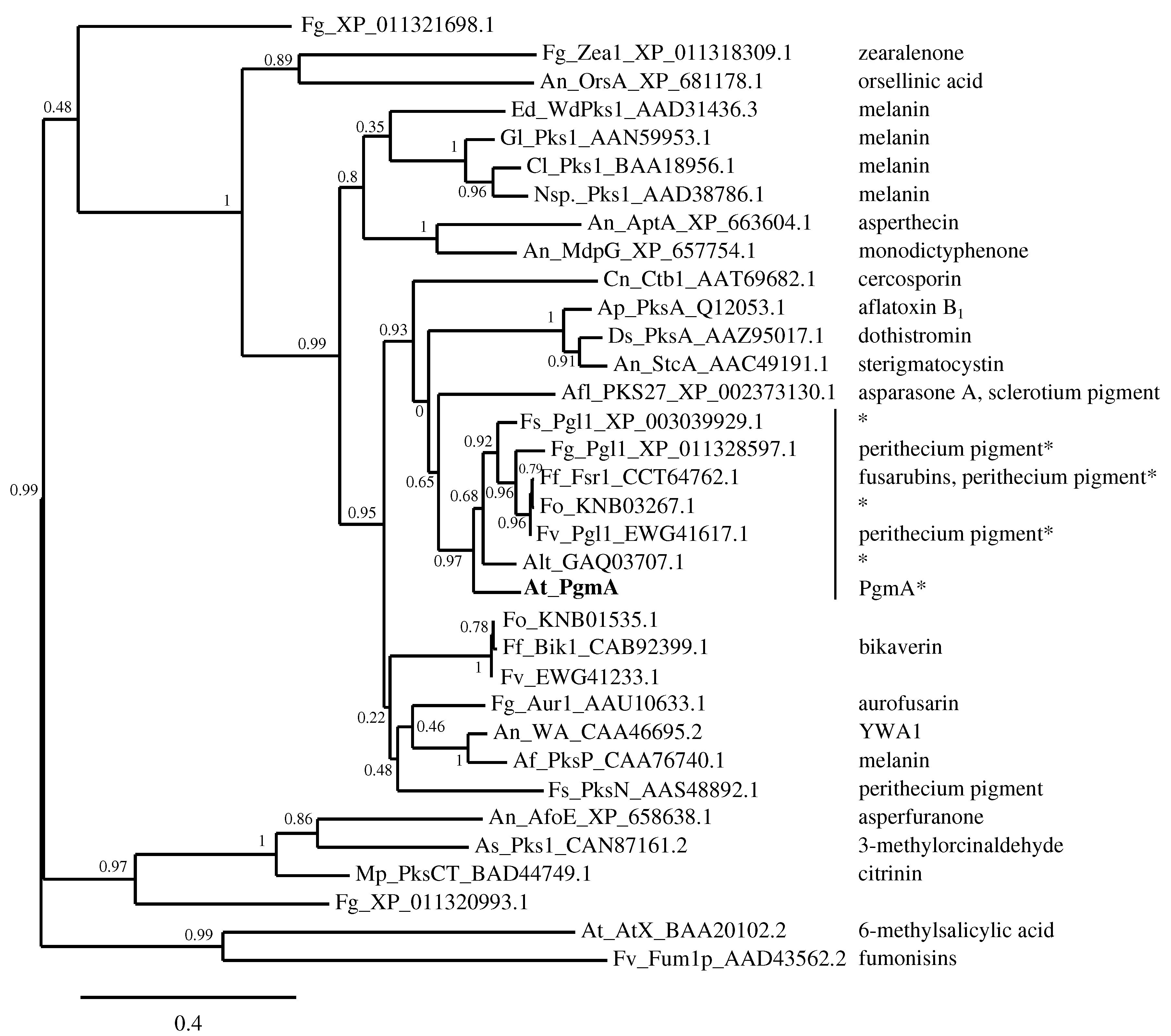 Microorganisms 05 00022 g002
