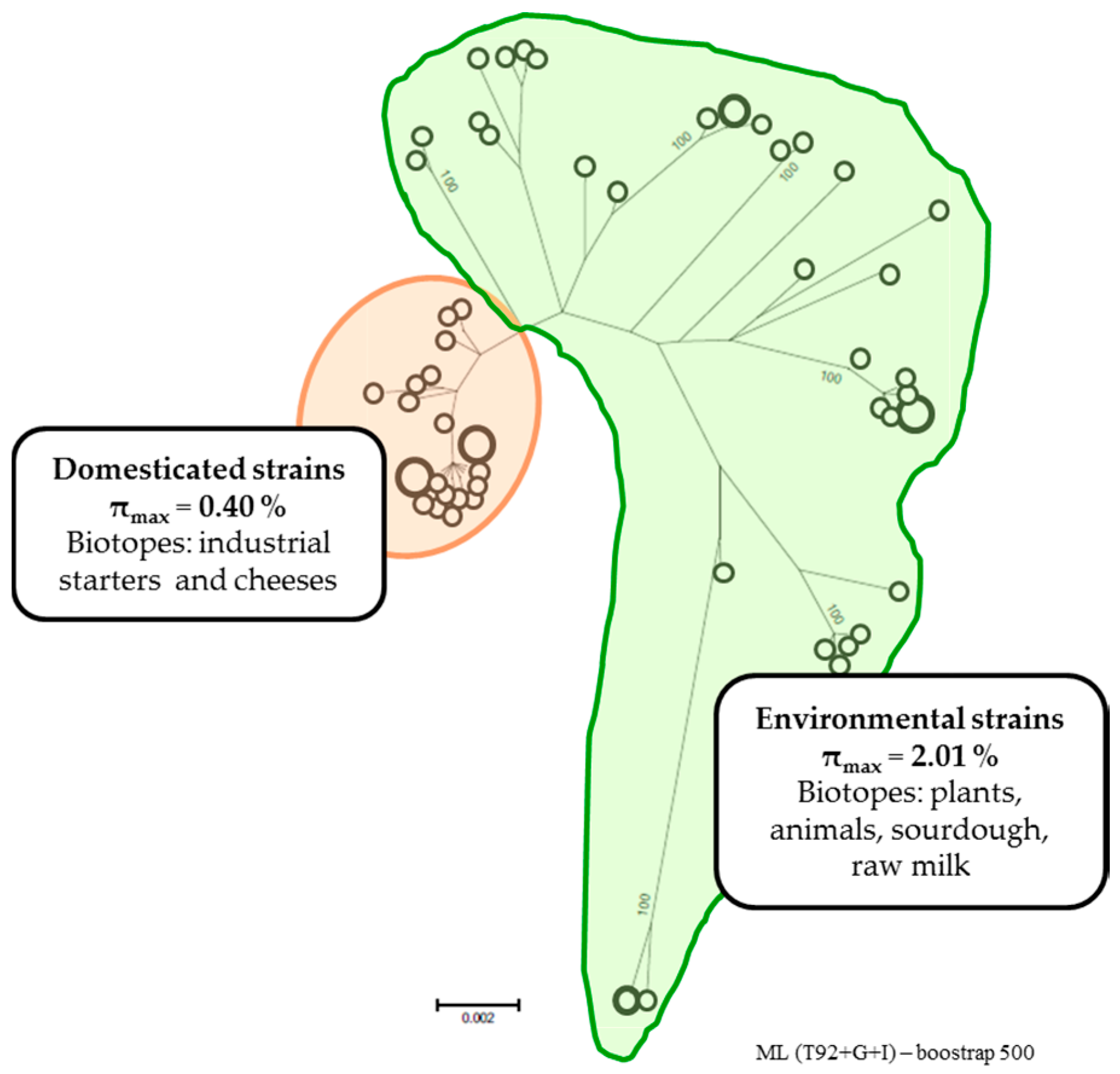 Microorganisms 05 00027 g001