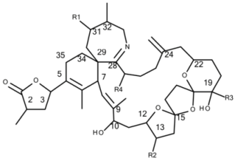 Microorganisms 05 00029 i001