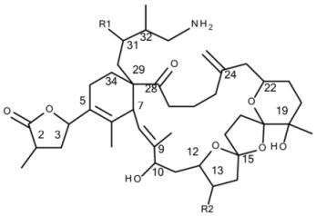 Microorganisms 05 00029 i002
