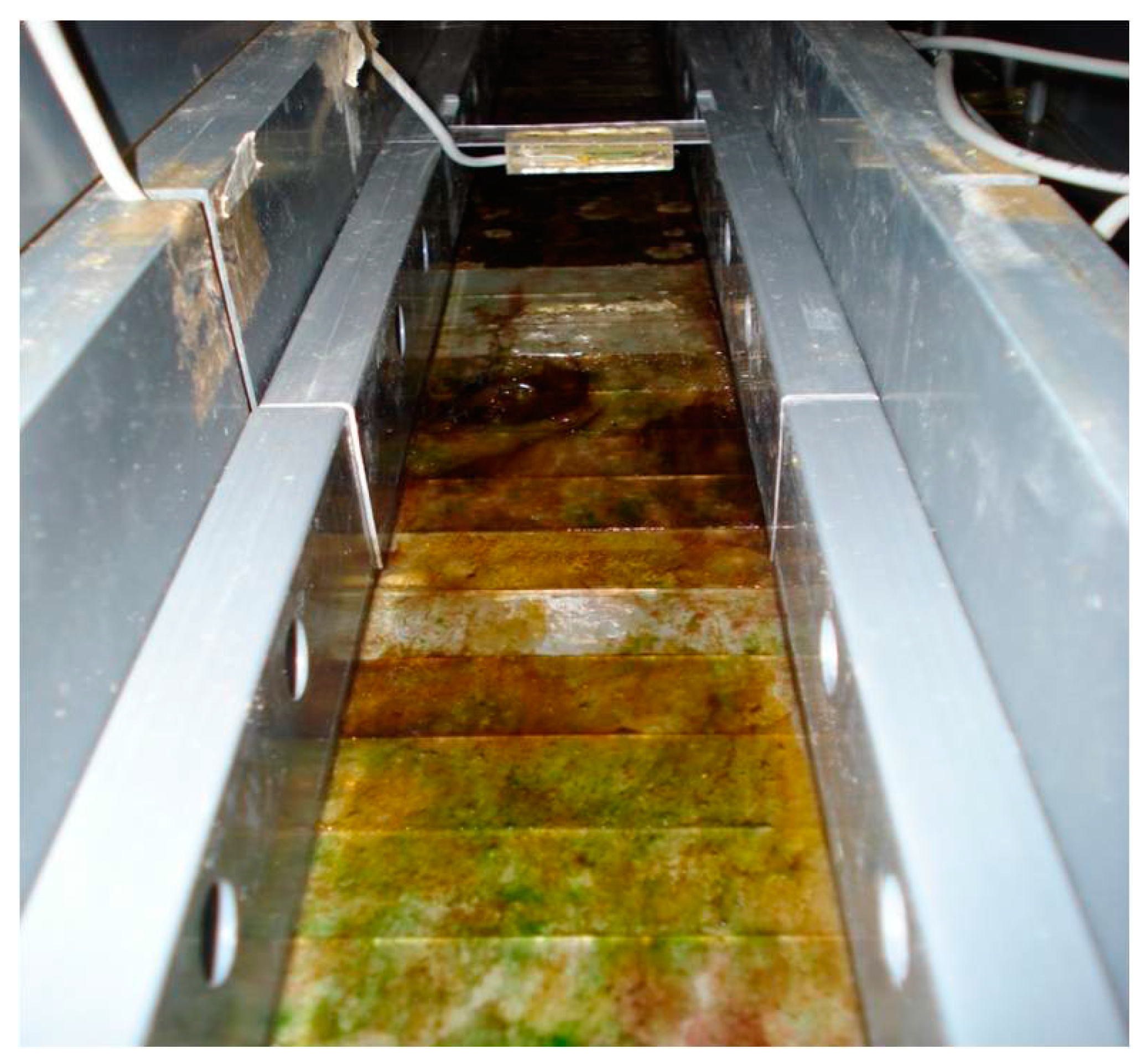 Microorganisms 05 00046 g004