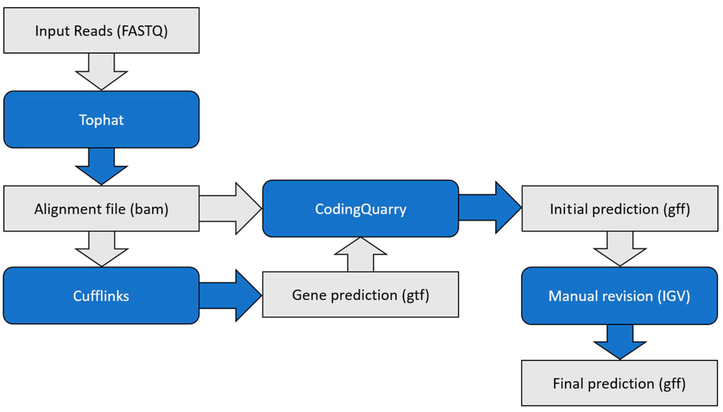 Microorganisms 05 00049 g001