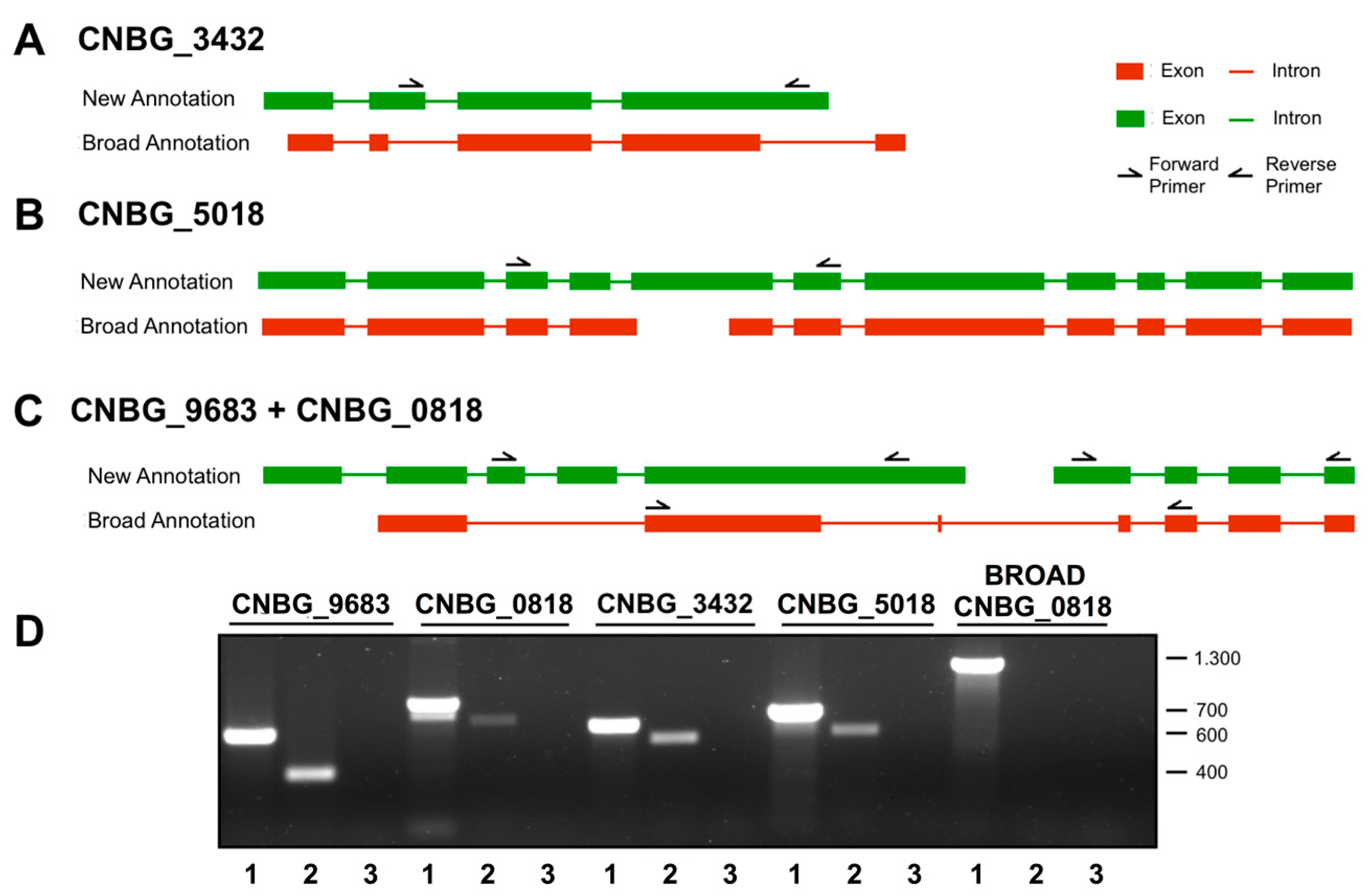 Microorganisms 05 00049 g002