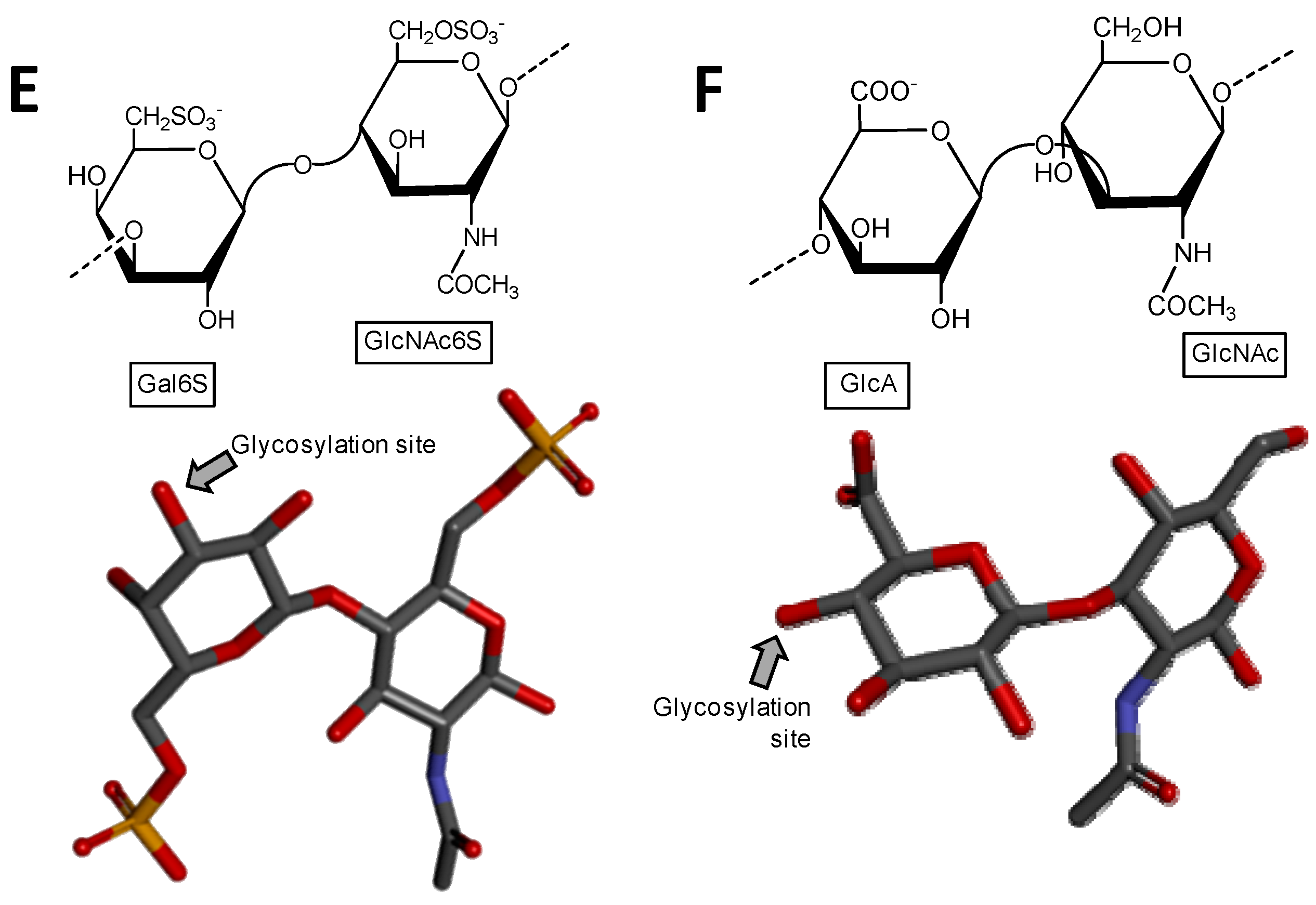 Microorganisms 05 00051 g001b
