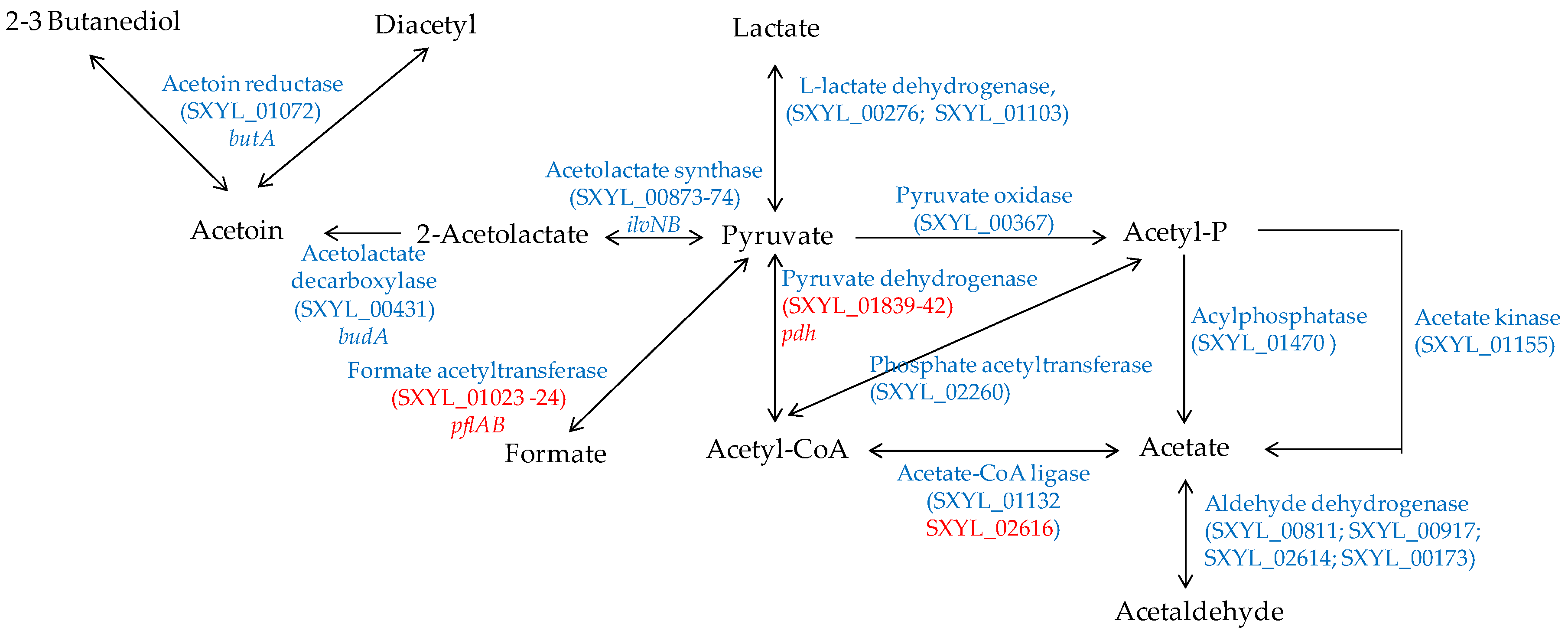 Microorganisms 05 00052 g004