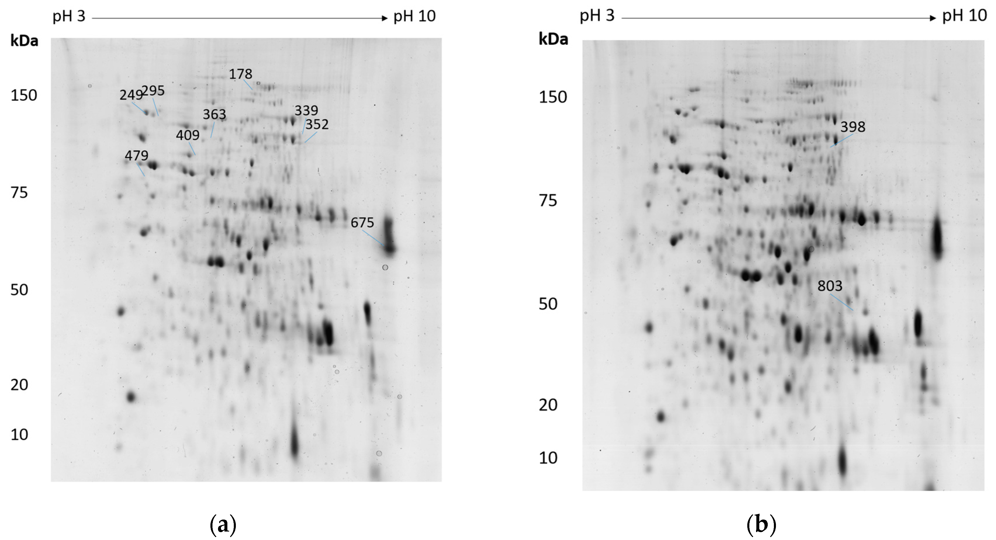 Microorganisms 05 00060 g001