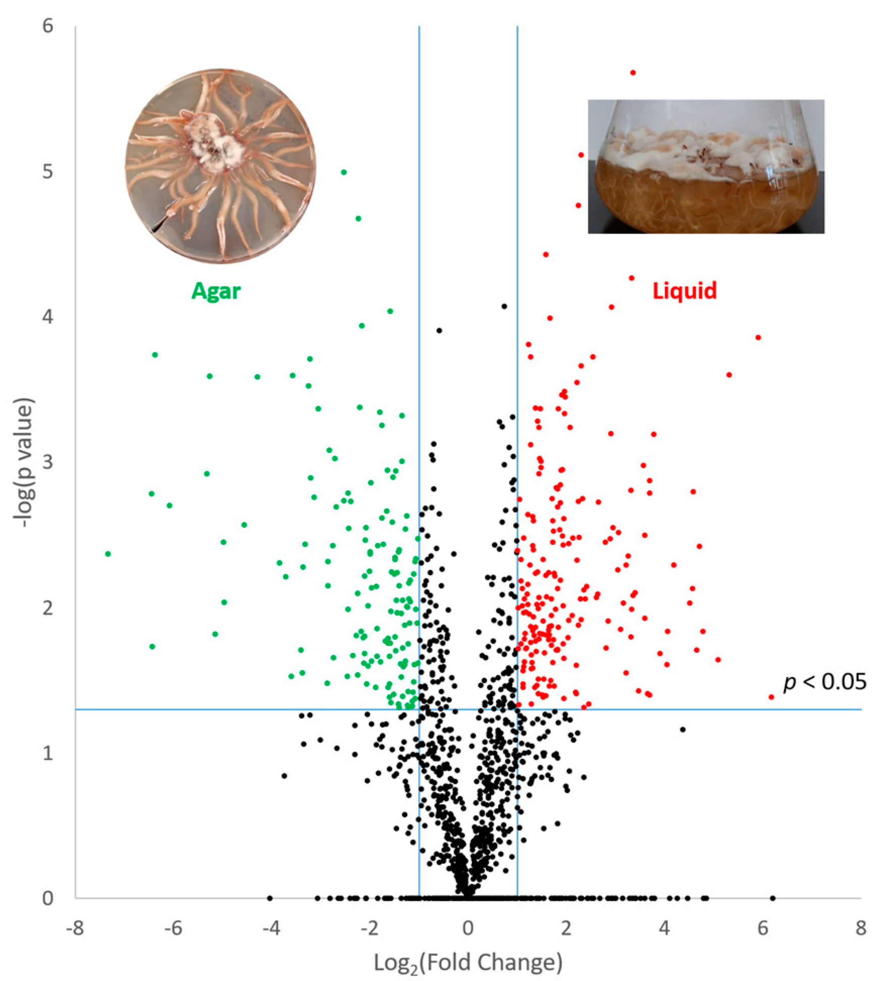 Microorganisms 05 00060 g002