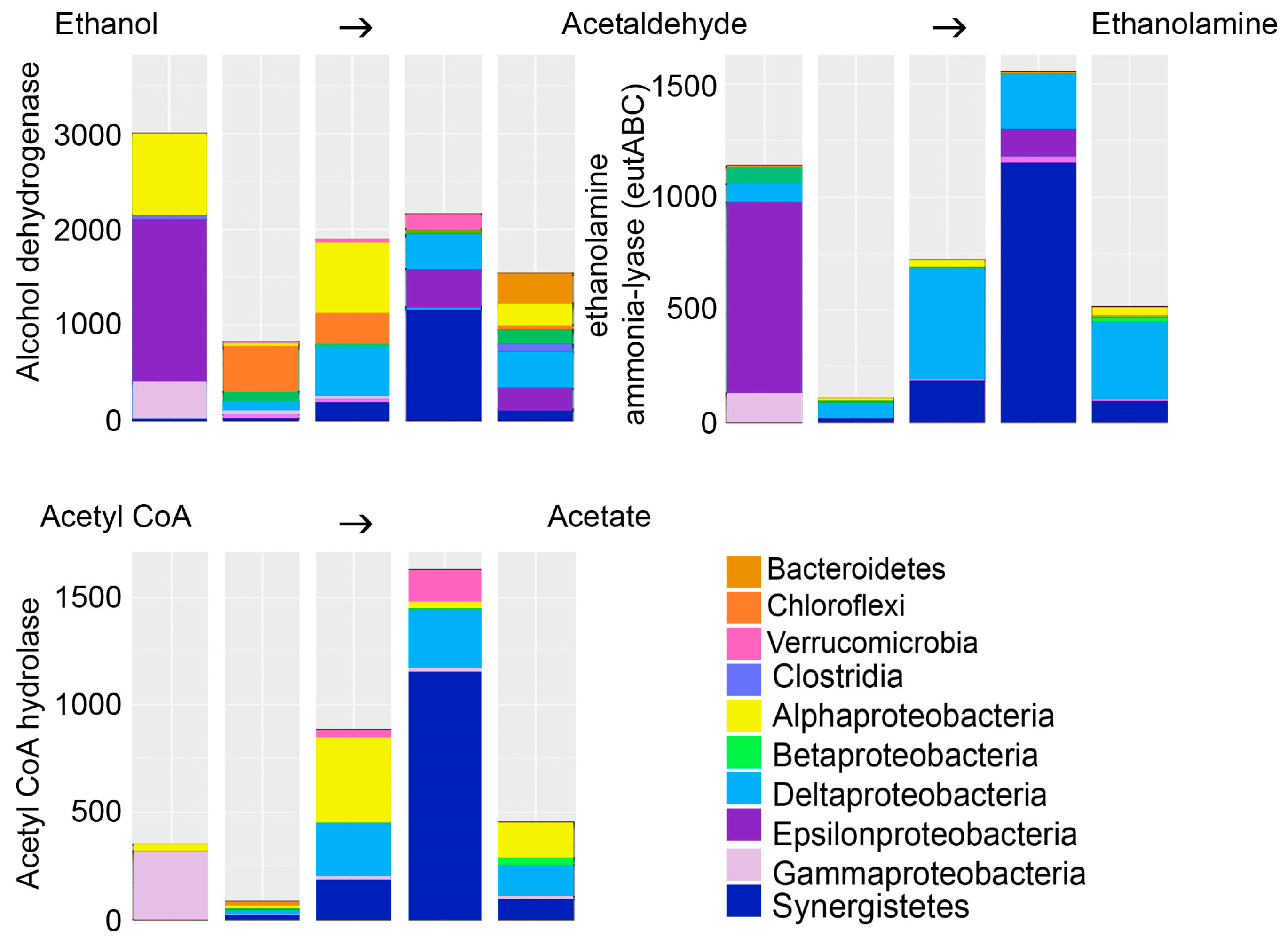 Microorganisms 05 00061 g007