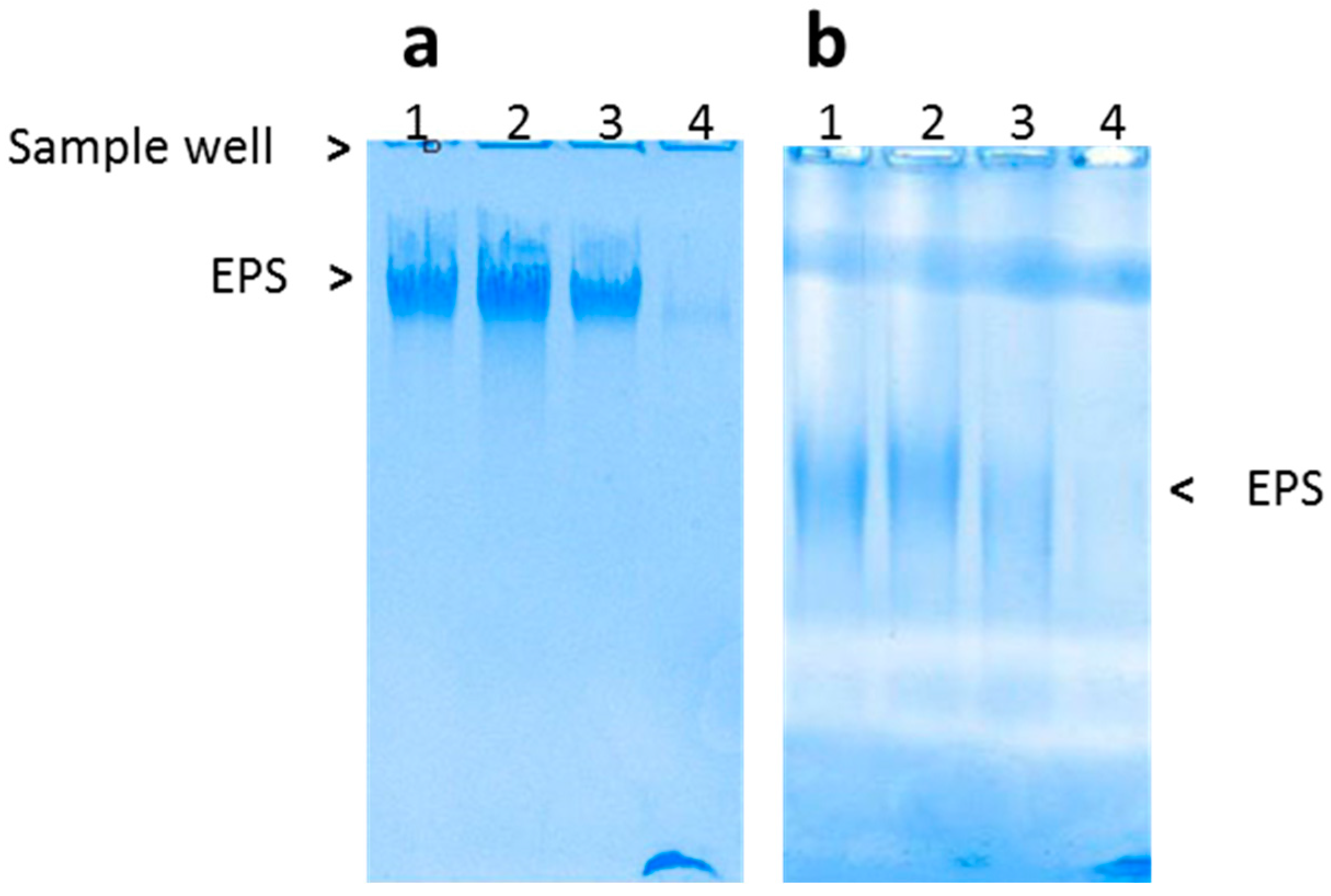 Microorganisms 05 00063 g001