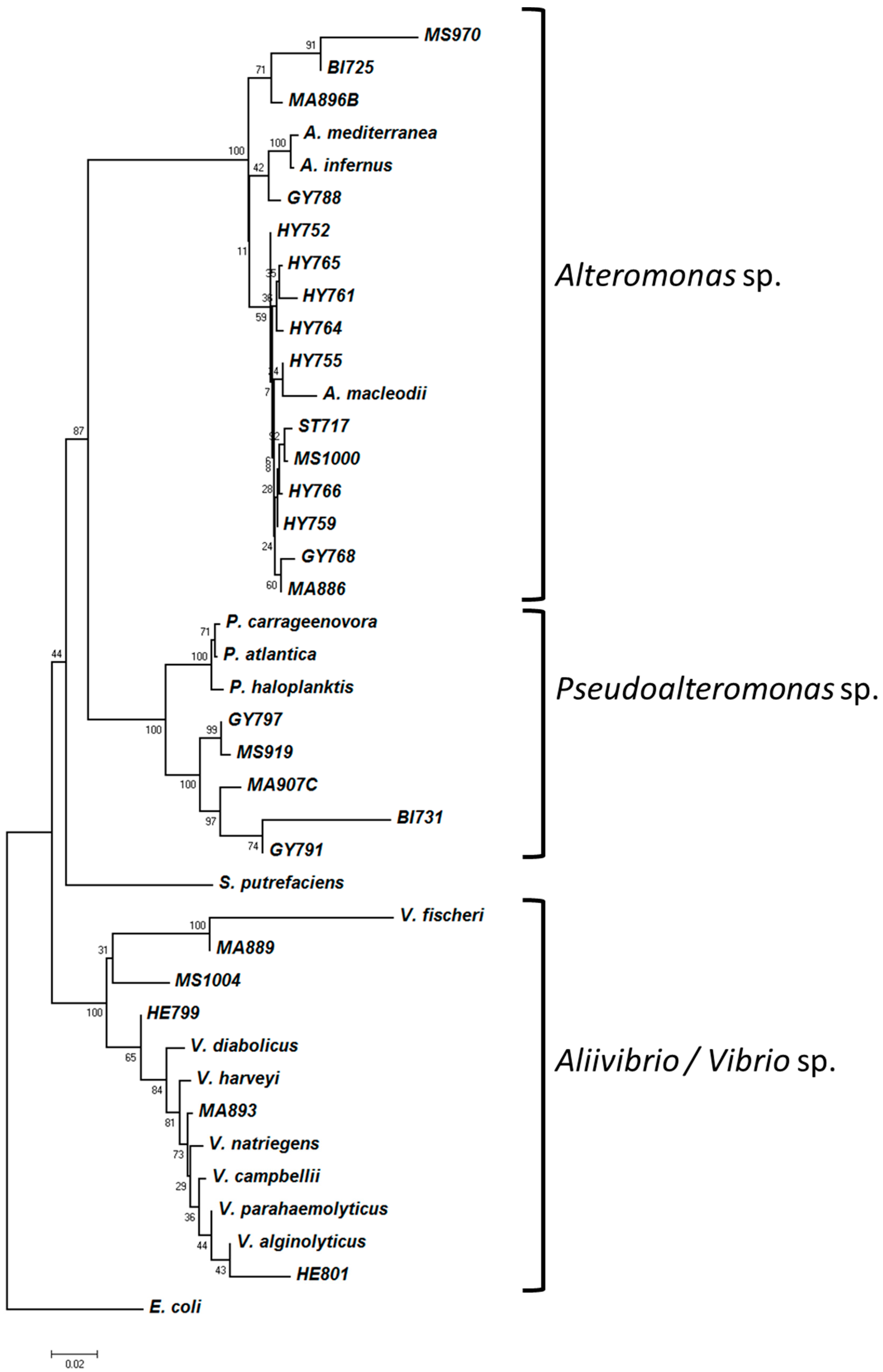 Microorganisms 05 00063 g003