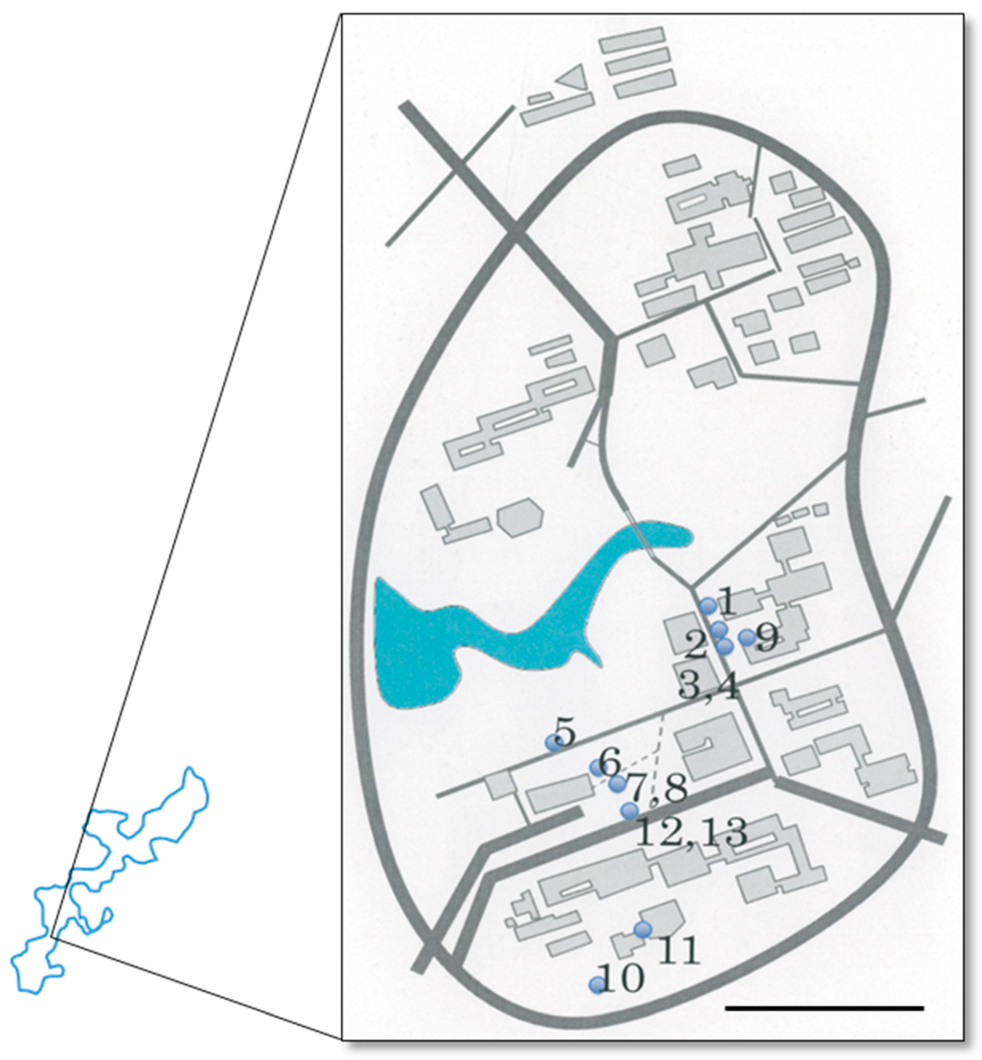 Microorganisms 05 00069 g001
