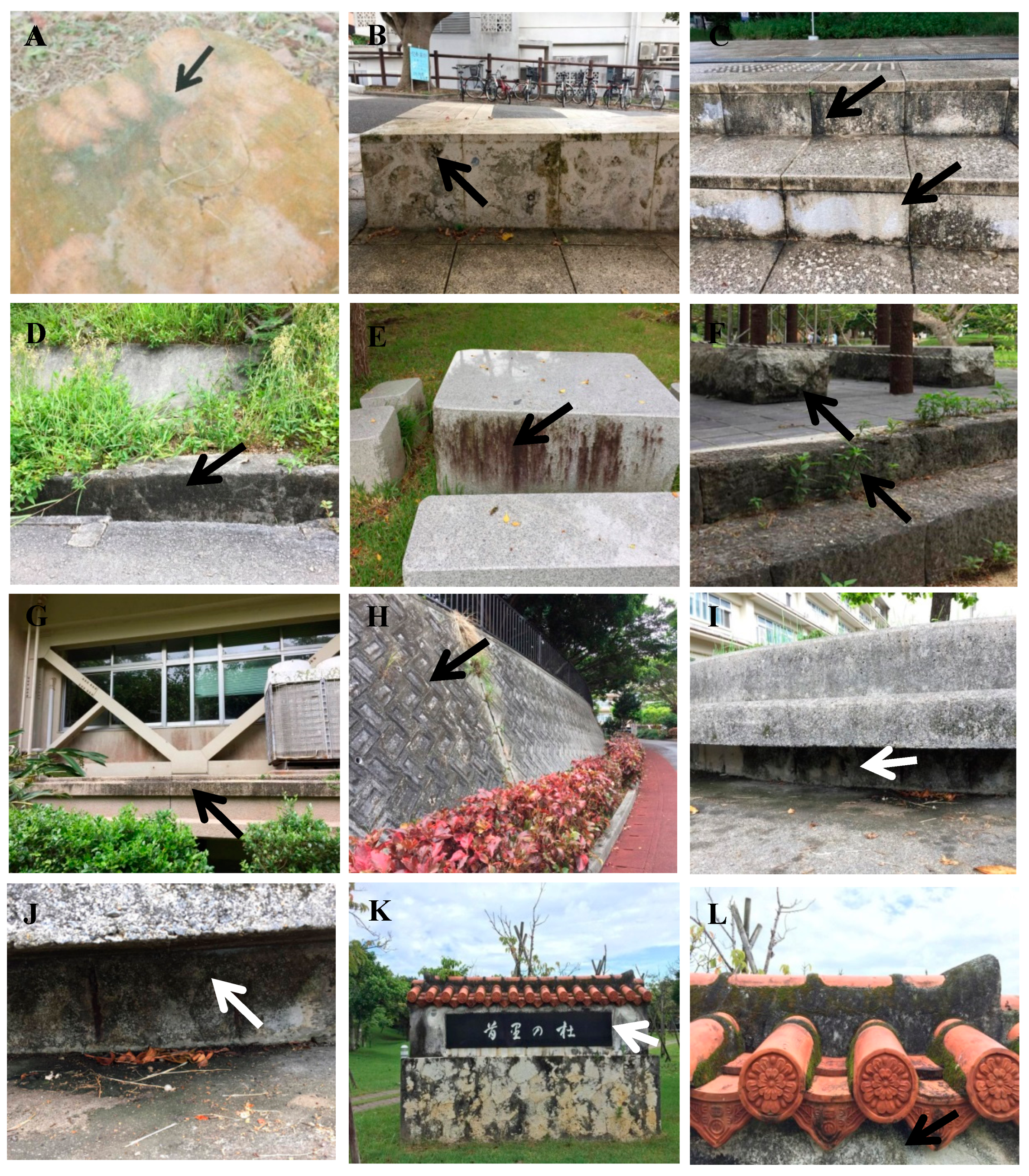 Microorganisms 05 00069 g002