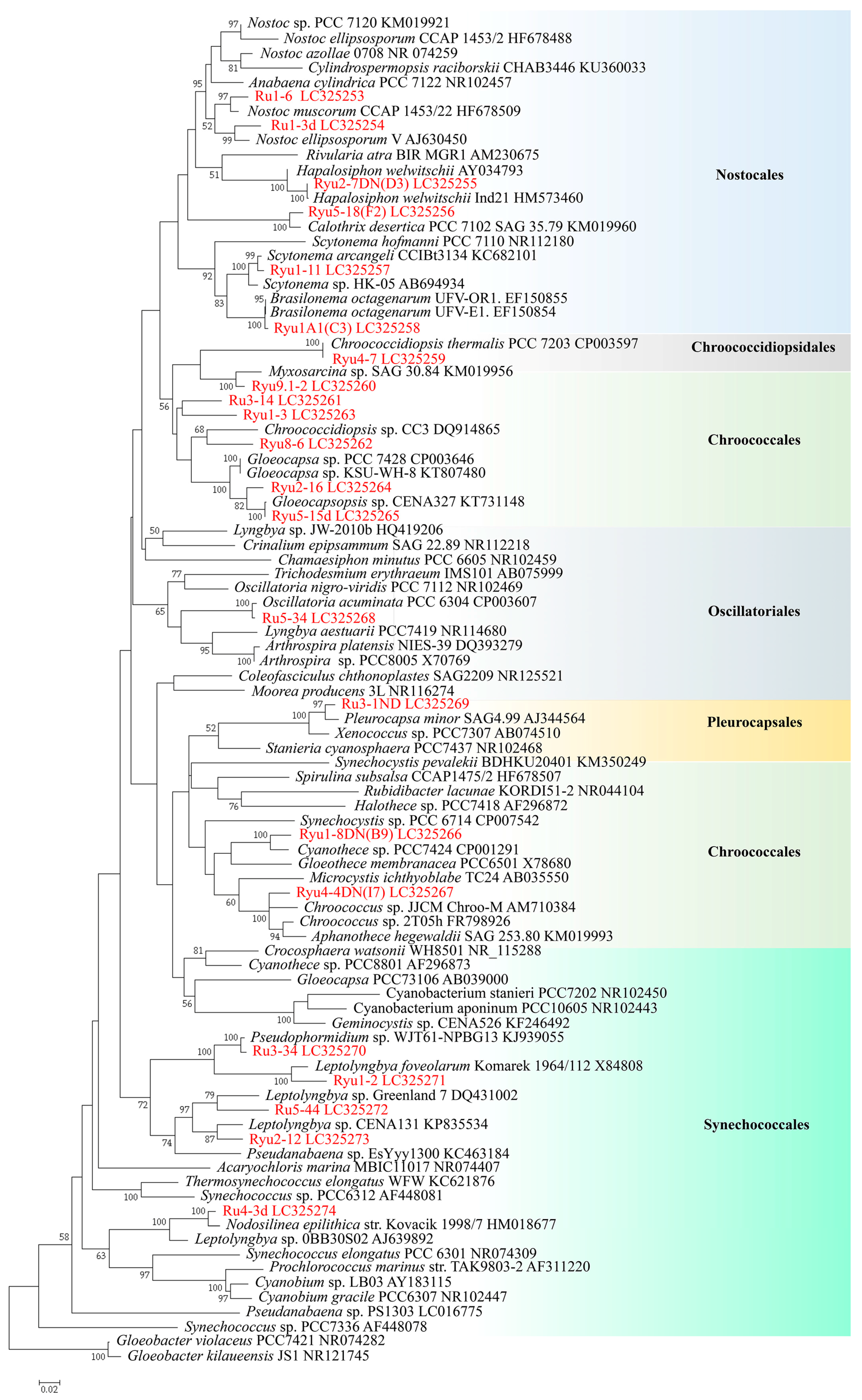 Microorganisms 05 00069 g004