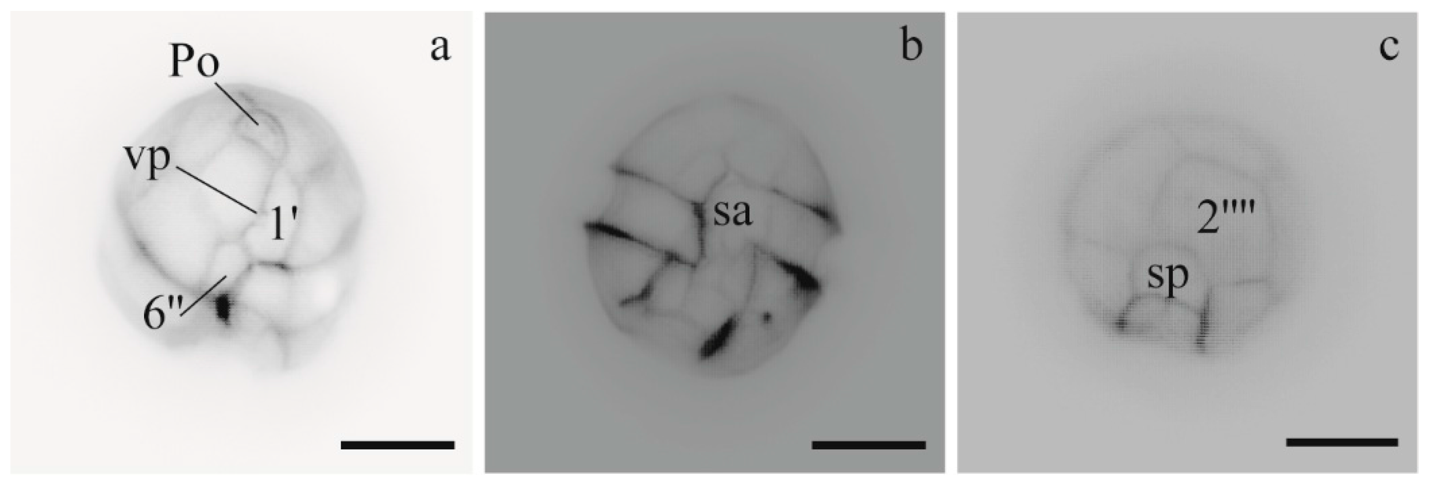 Microorganisms 05 00072 g002