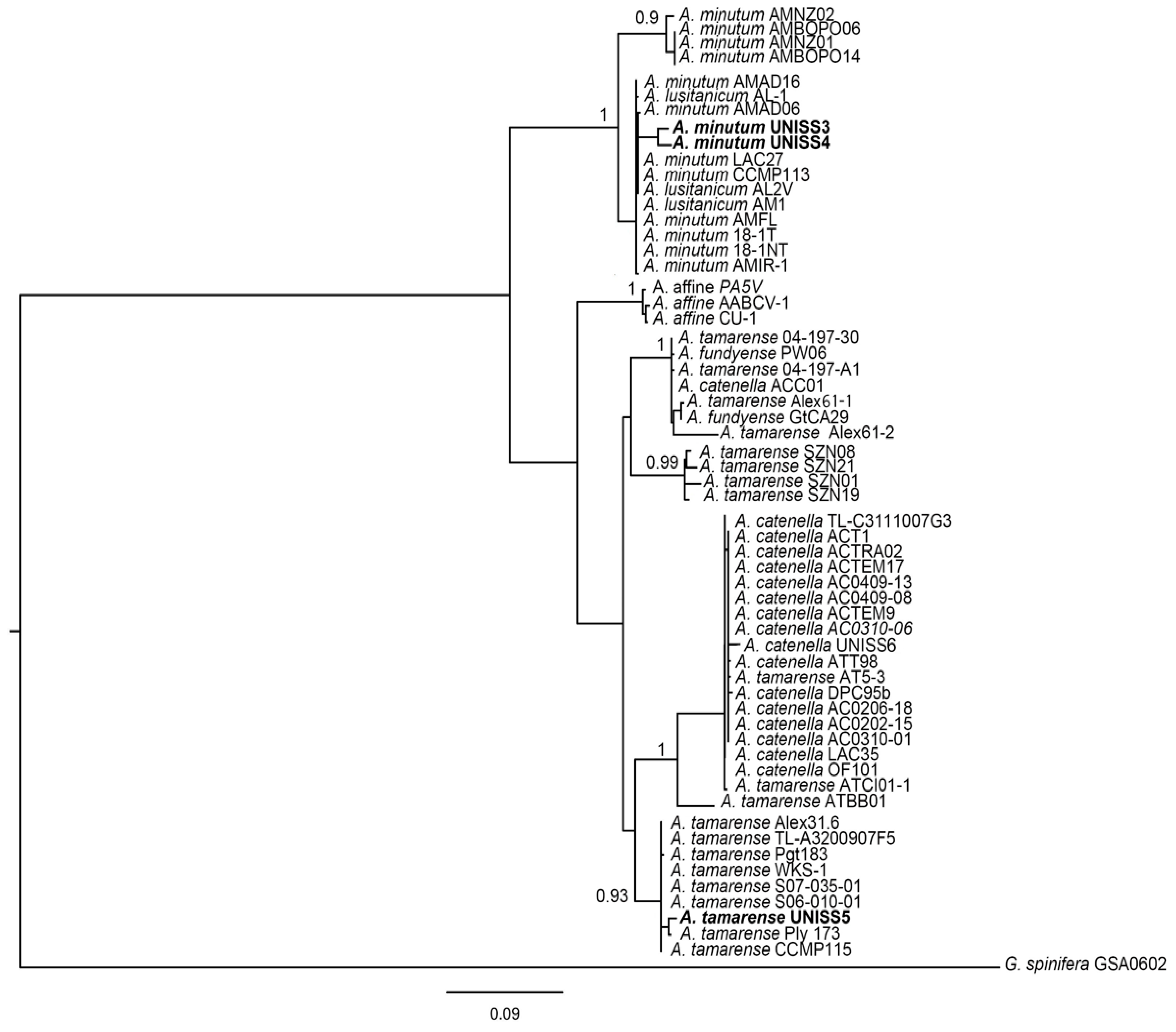 Microorganisms 05 00072 g006