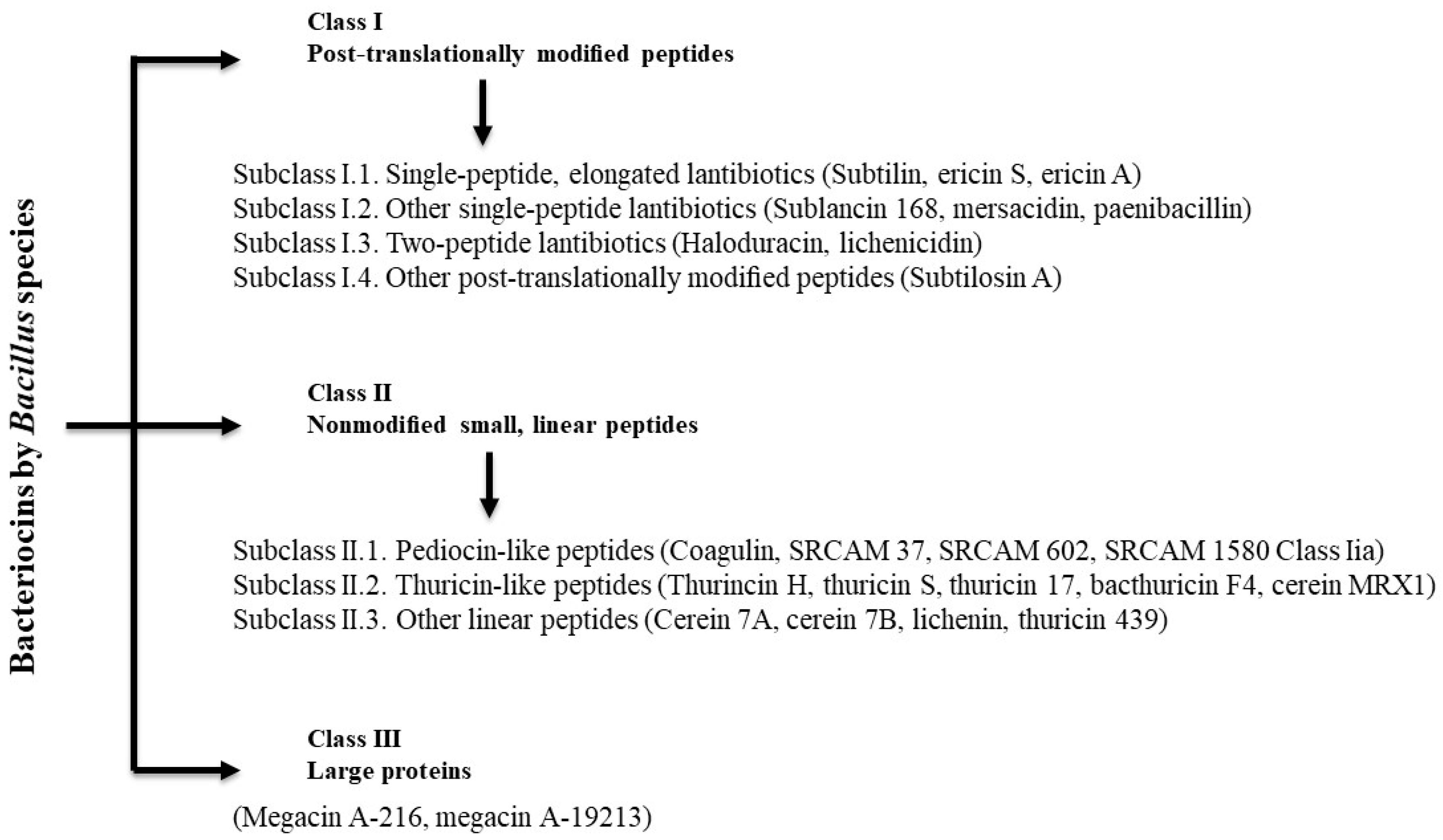 Microorganisms 05 00075 g001