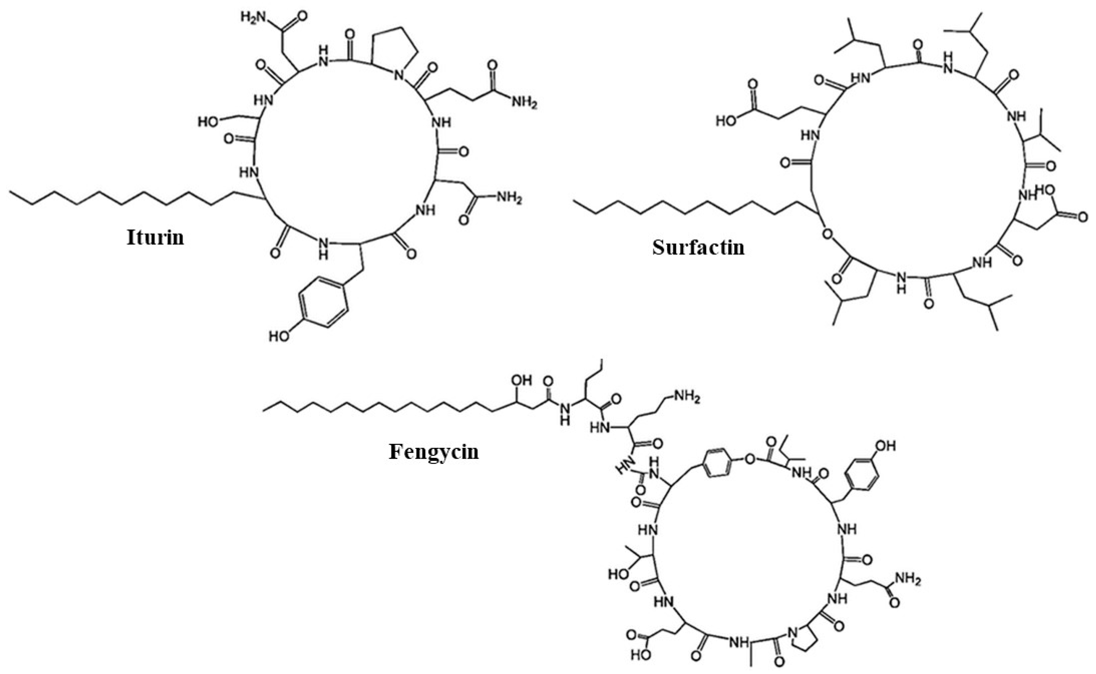 Microorganisms 05 00075 g002