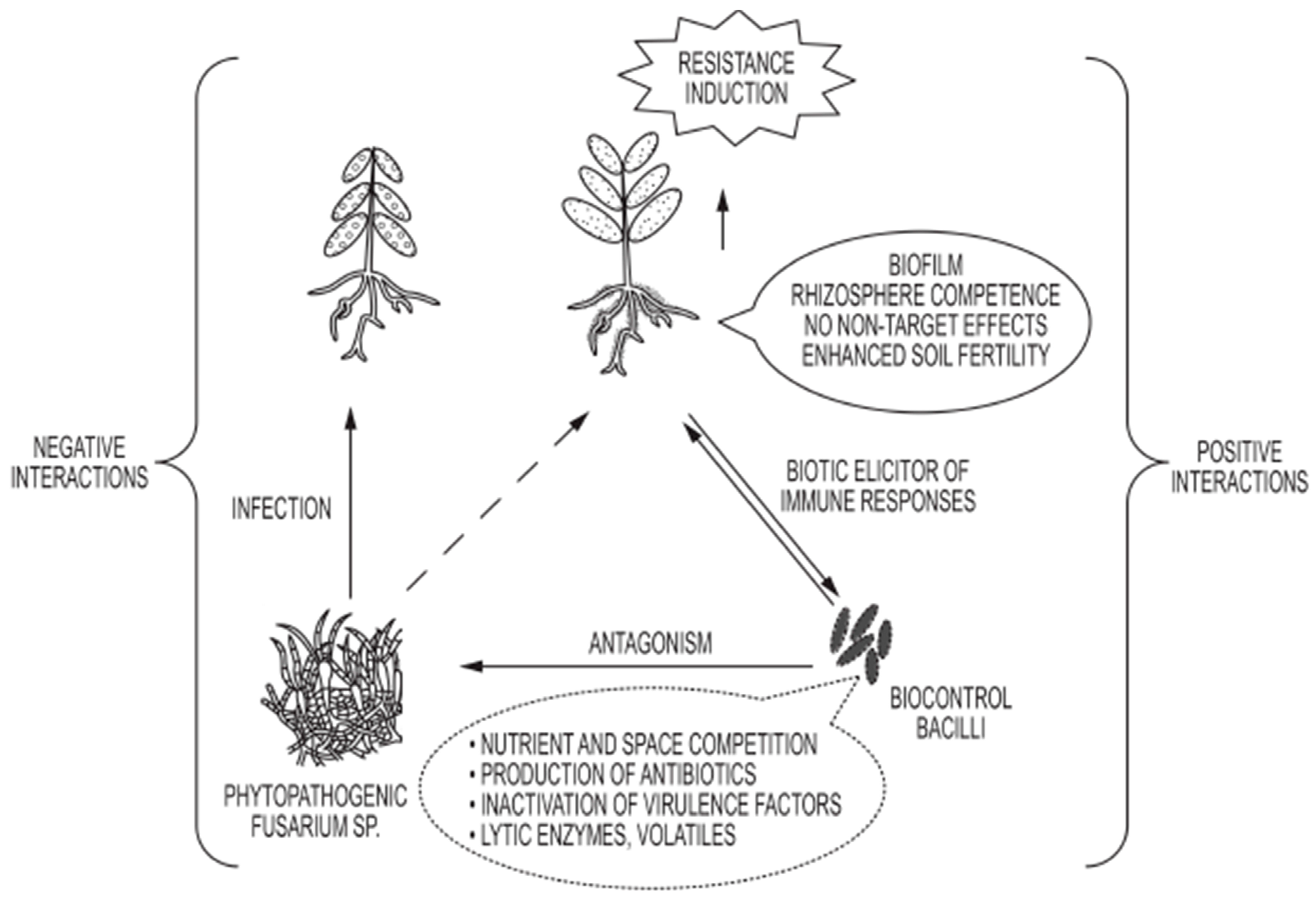 Microorganisms 05 00075 g003