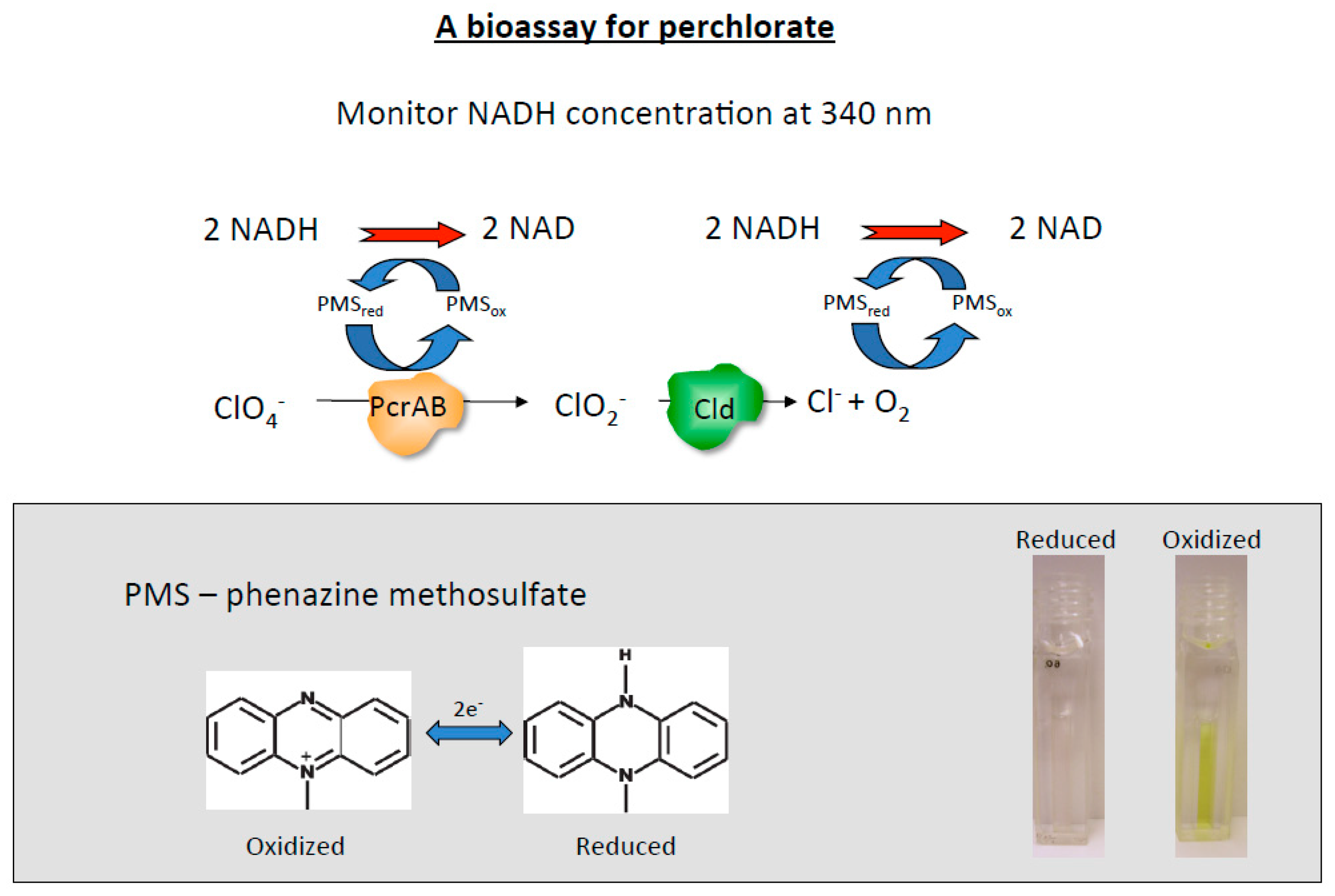 Microorganisms 05 00076 g003