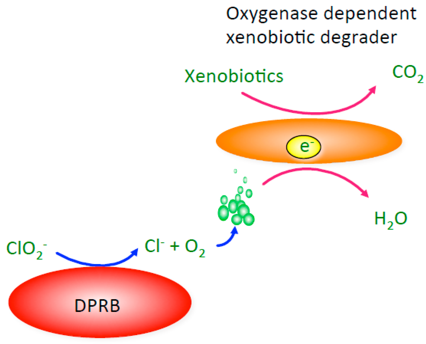 Microorganisms 05 00076 g006
