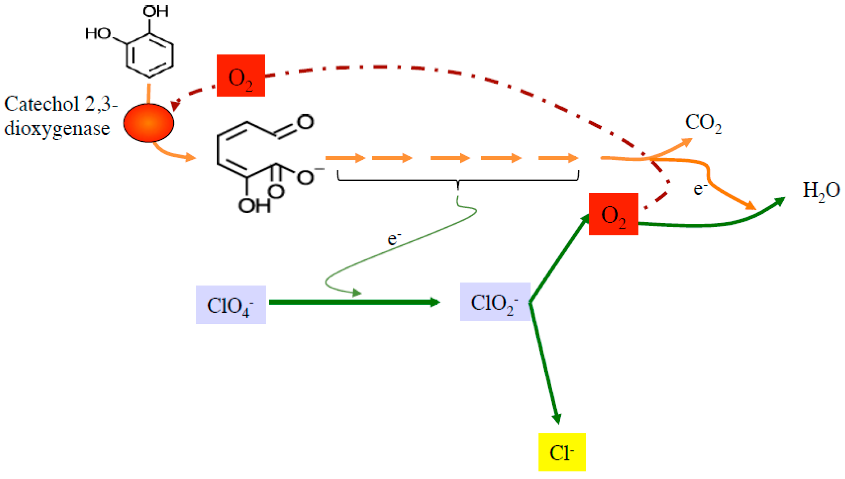 Microorganisms 05 00076 g007