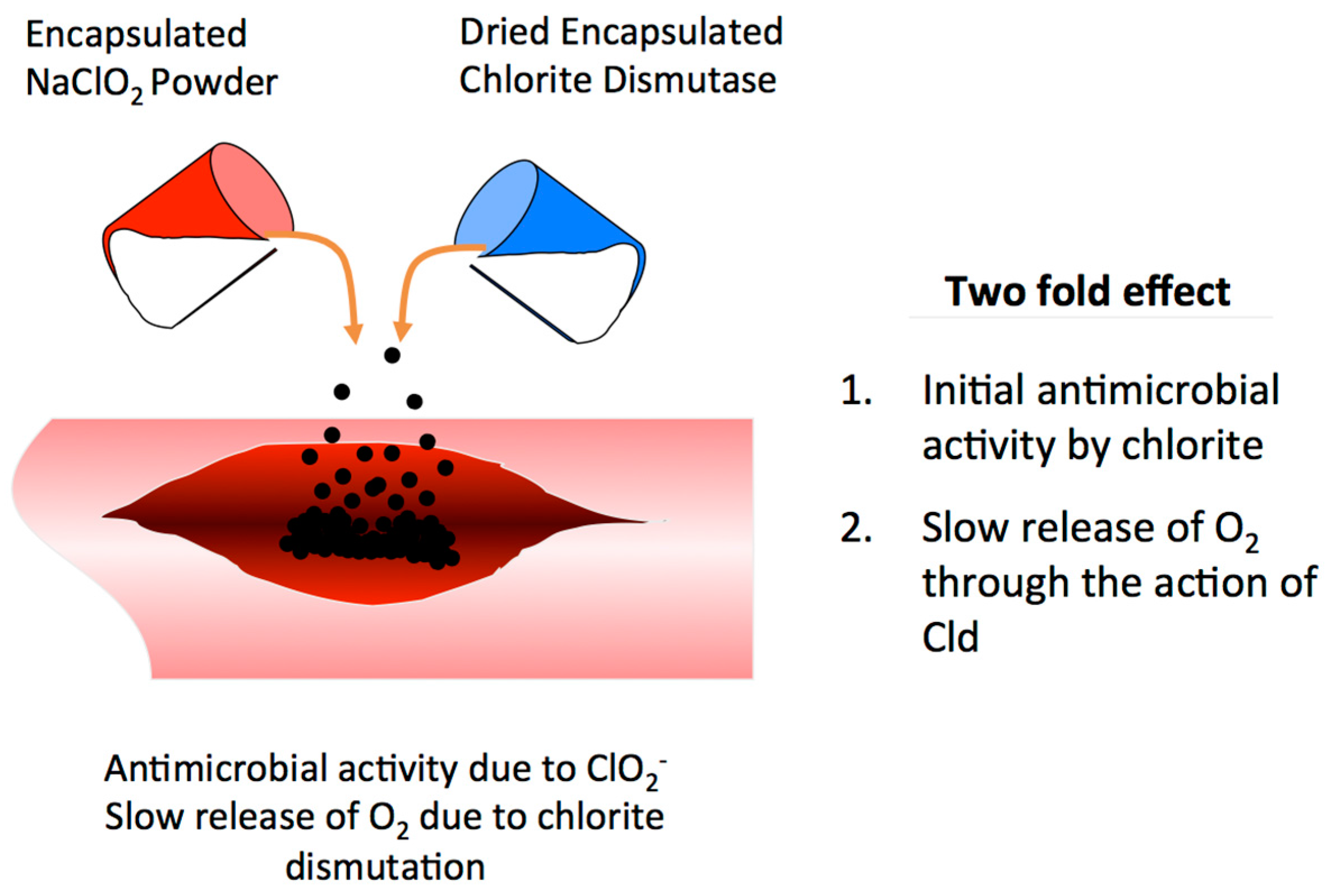 Microorganisms 05 00076 g008