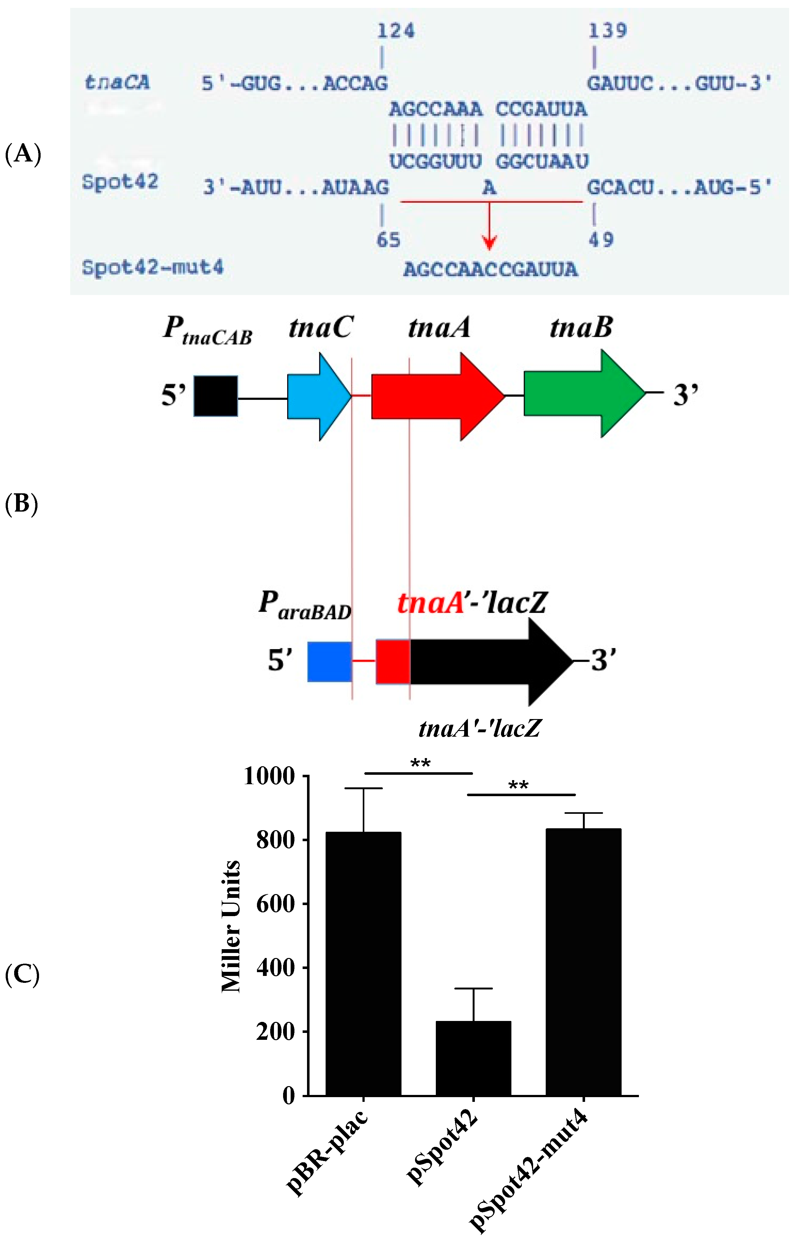 Microorganisms 05 00078 g002