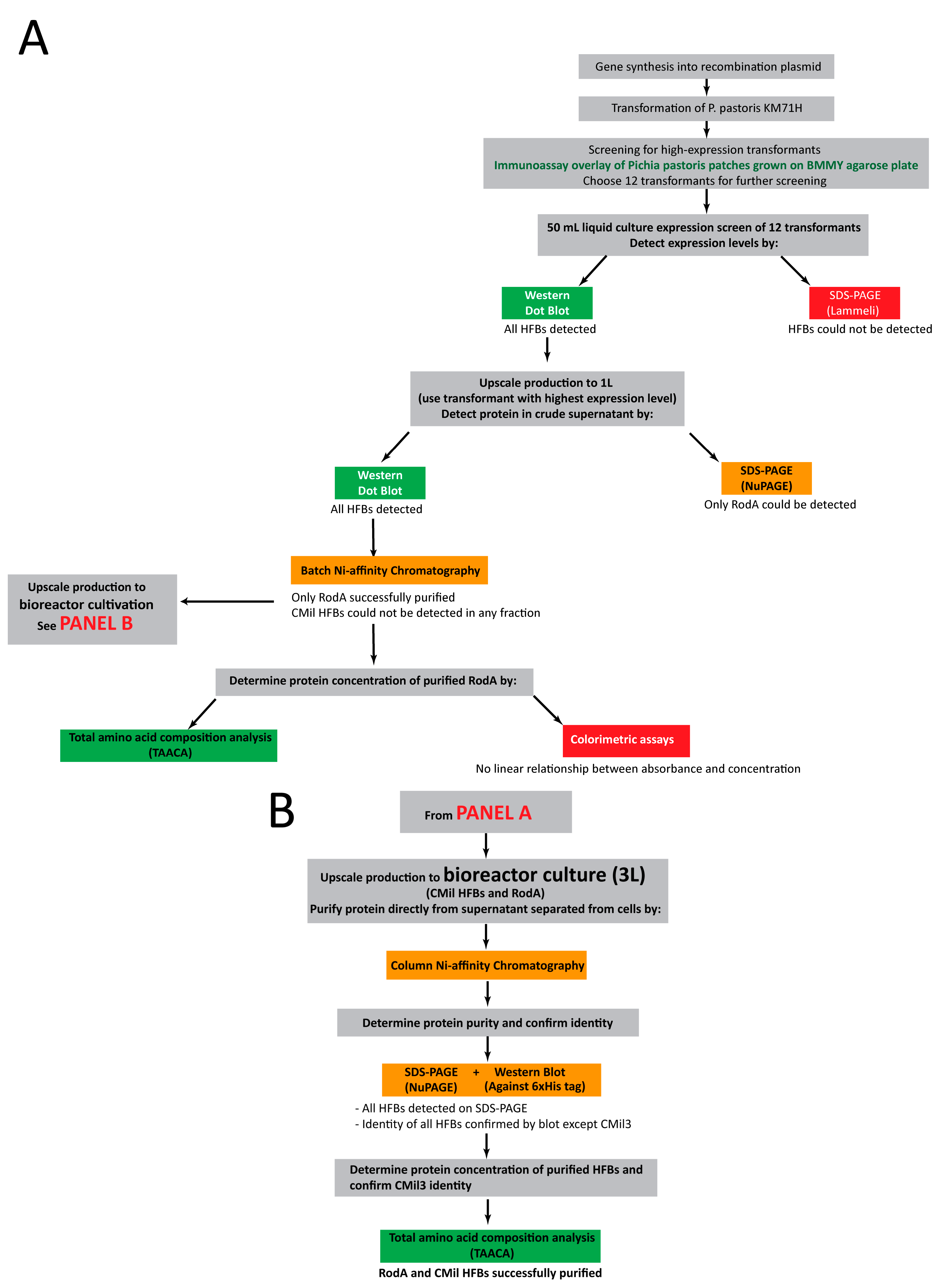 Microorganisms 06 00003 g006