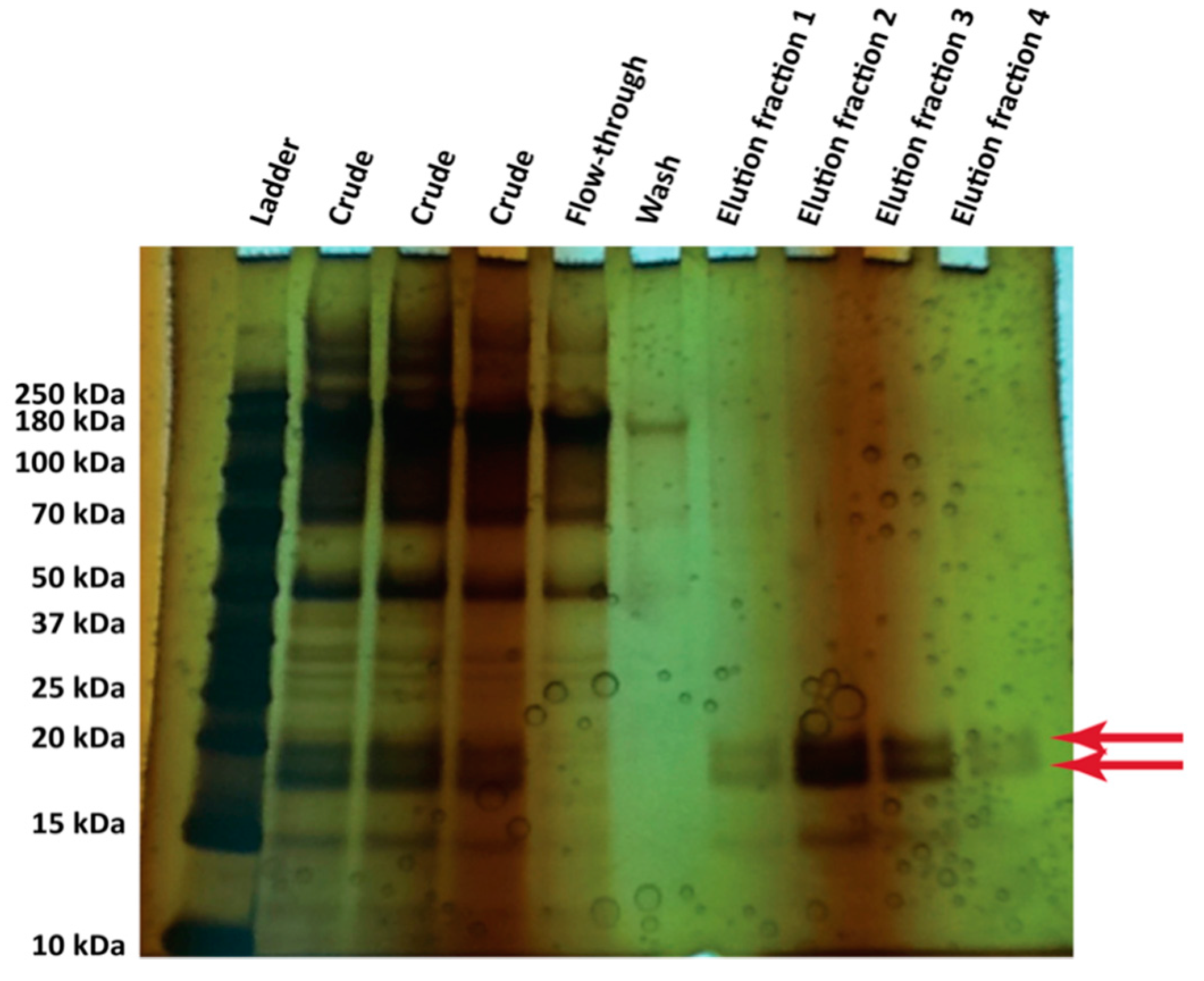 Microorganisms 06 00003 g007