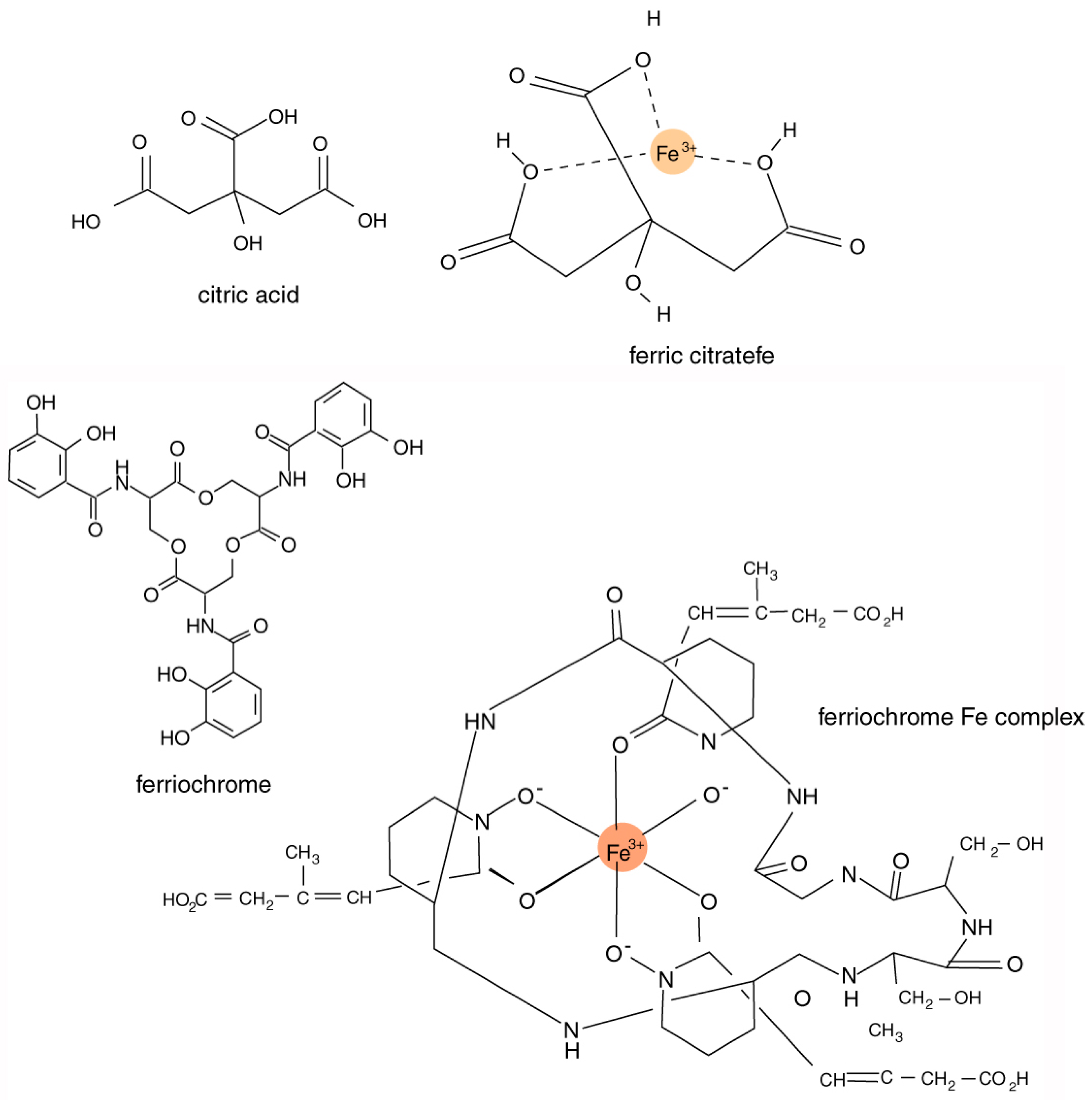 Microorganisms 06 00008 g003