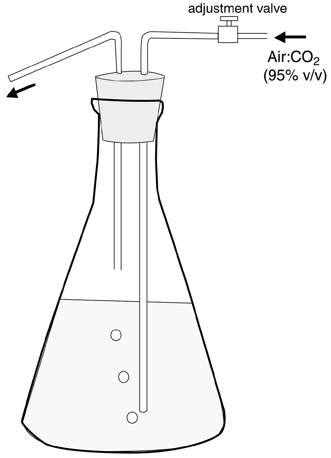 Microorganisms 06 00008 g0a1