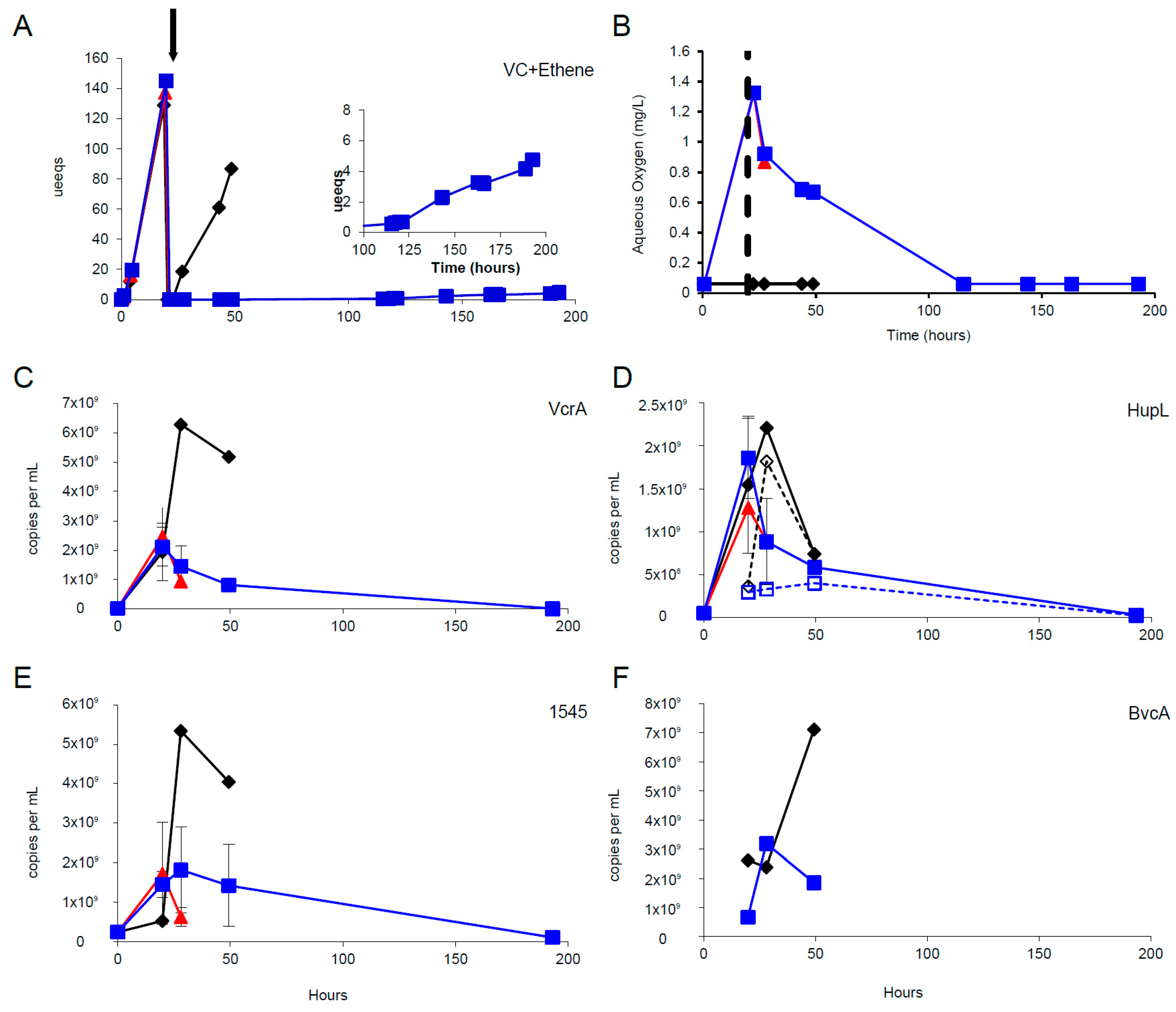 Microorganisms 06 00013 g004