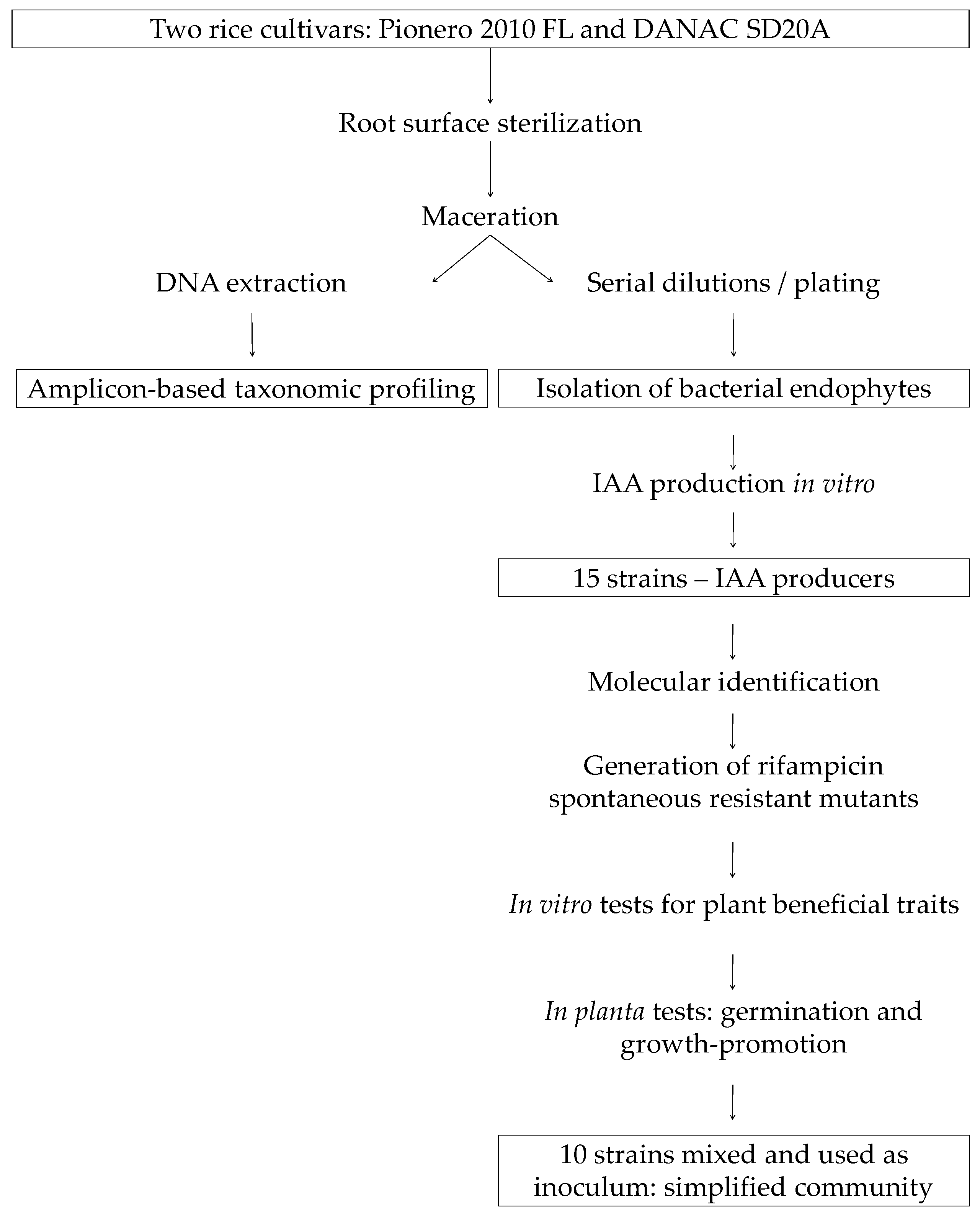 Microorganisms 06 00014 g001