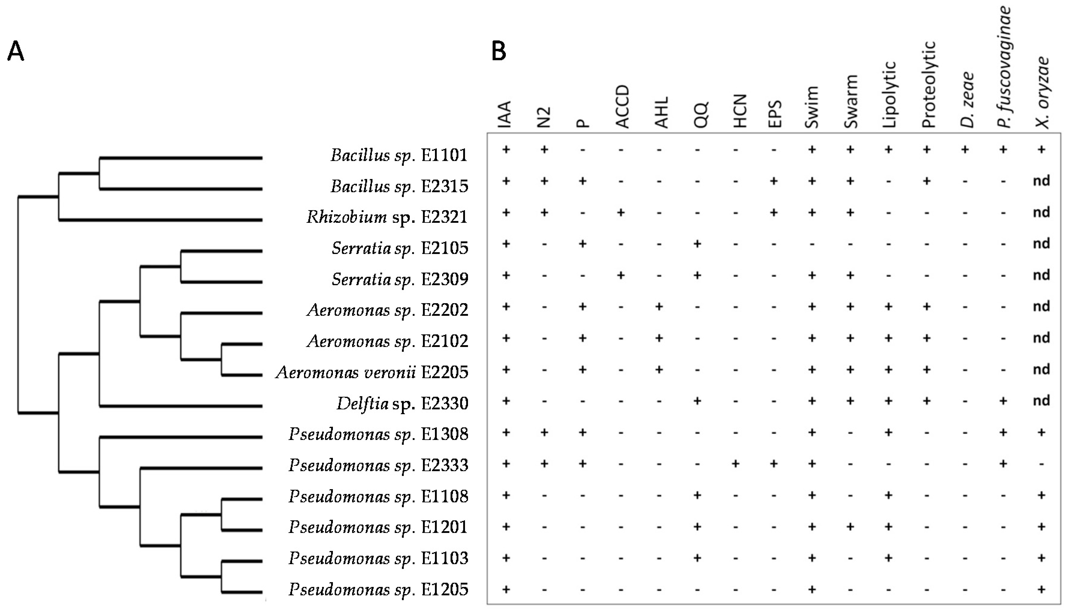 Microorganisms 06 00014 g003