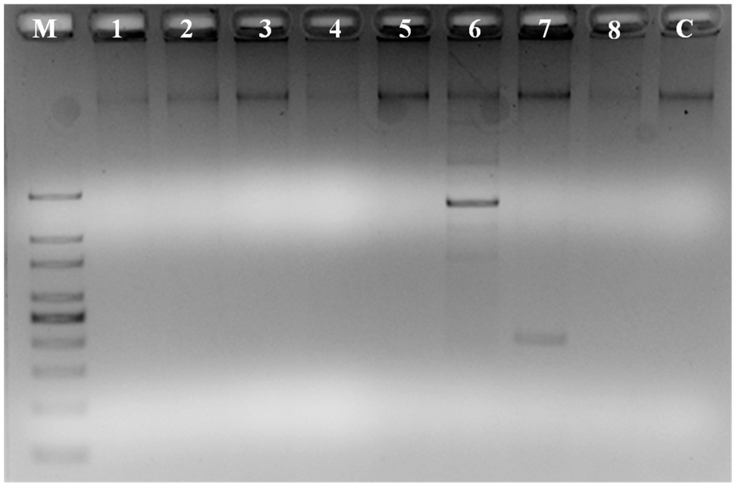Microorganisms 06 00021 g007