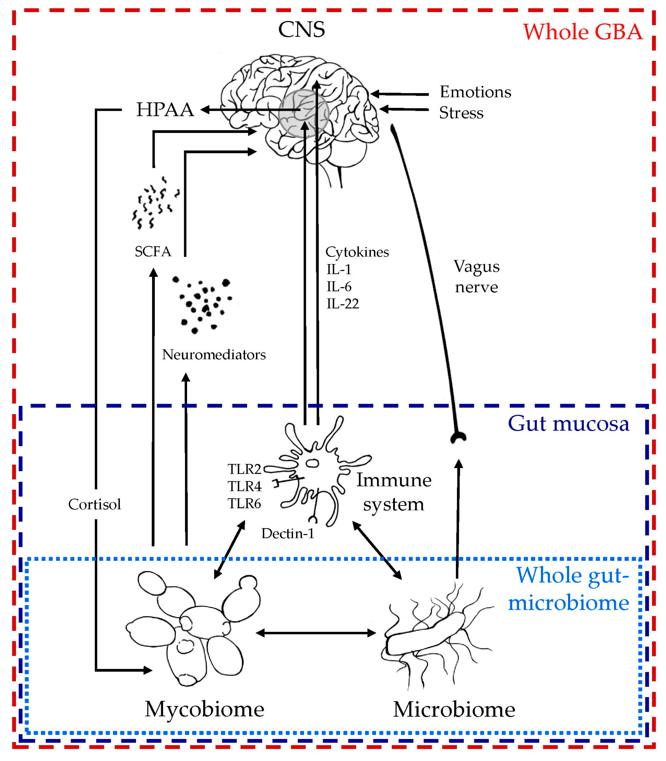 Microorganisms 06 00022 g001