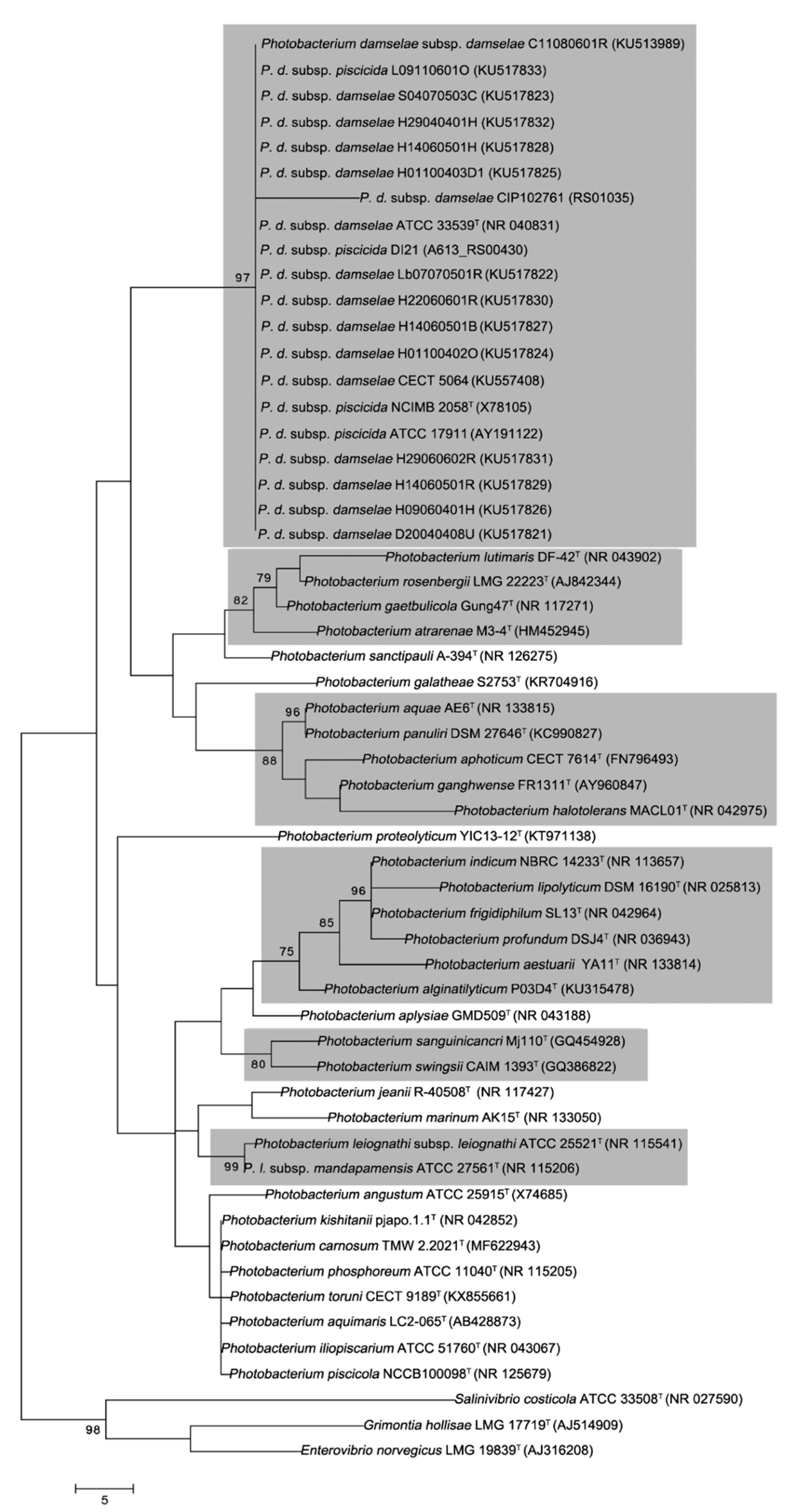 Microorganisms 06 00024 g001