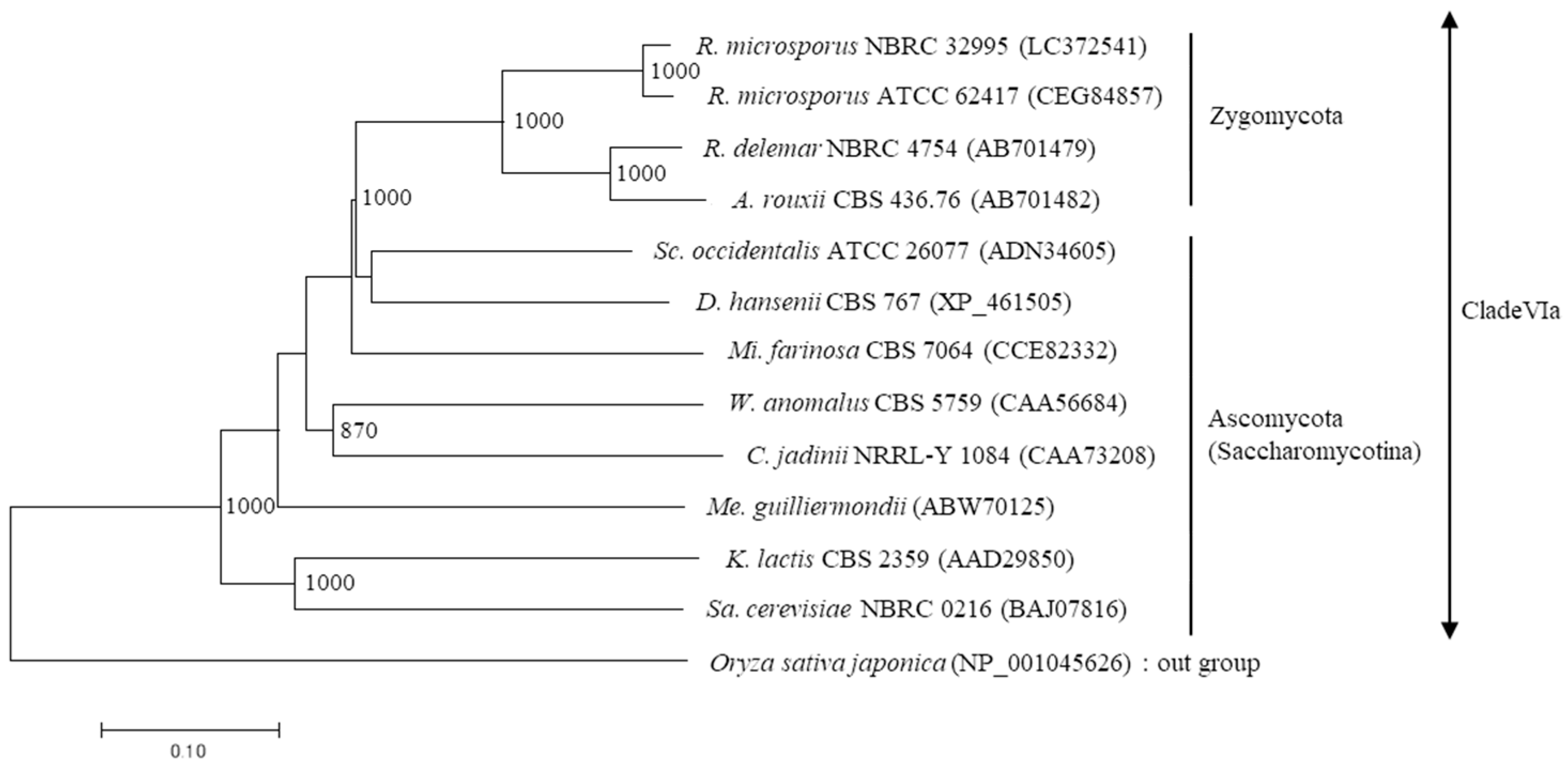 Microorganisms 06 00026 g004