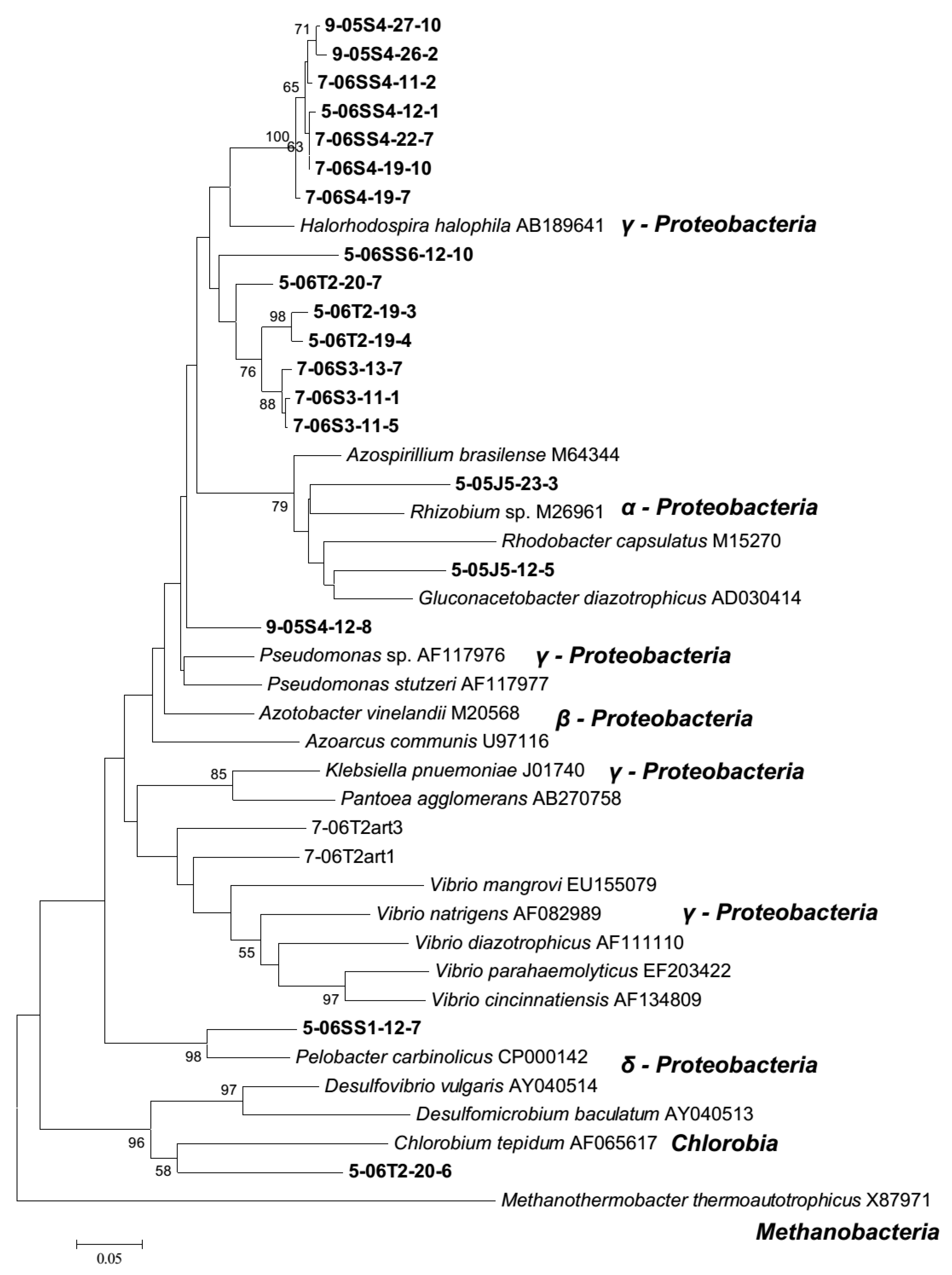 Microorganisms 06 00027 g005