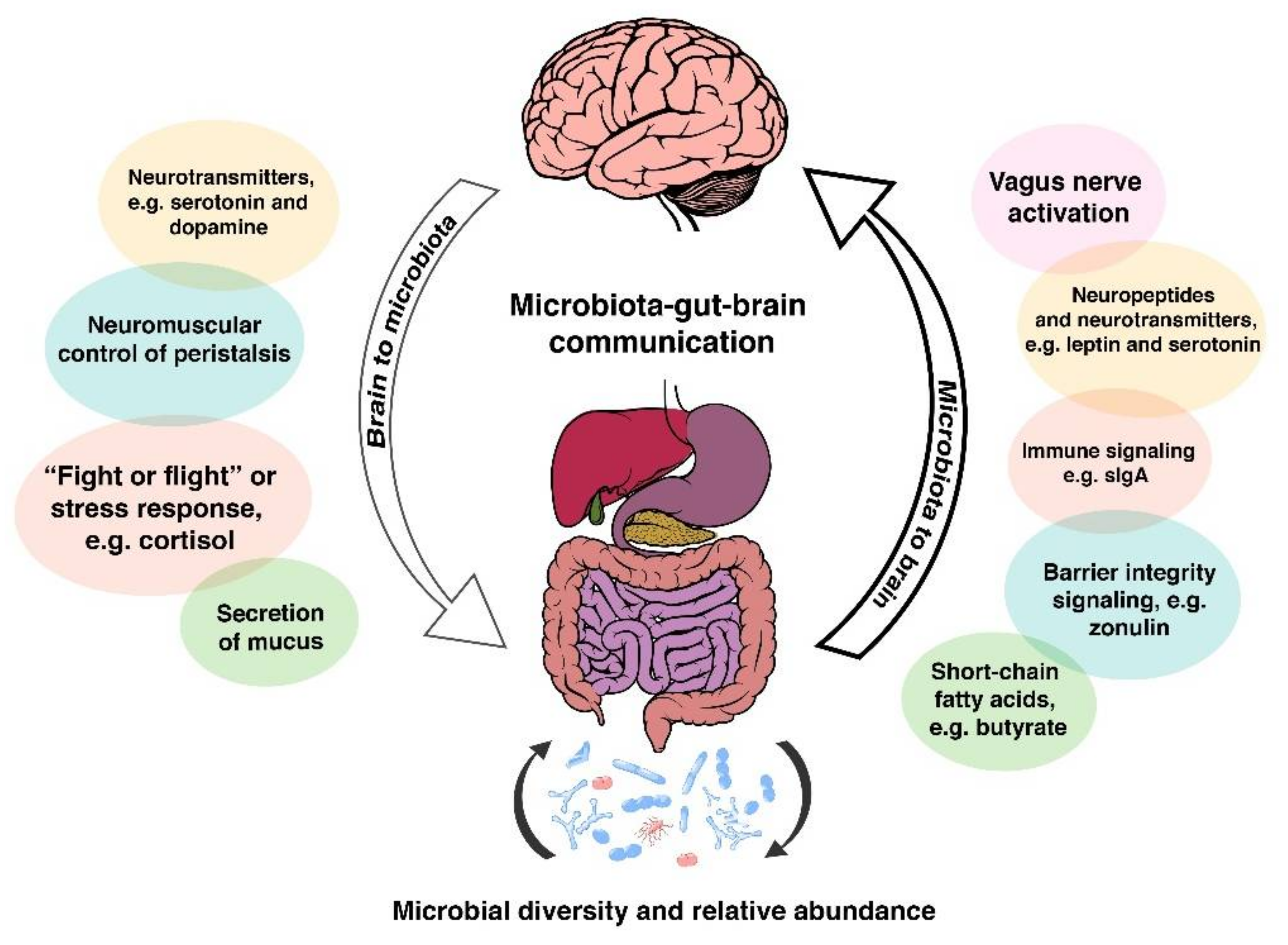 Microorganisms 06 00035 g001