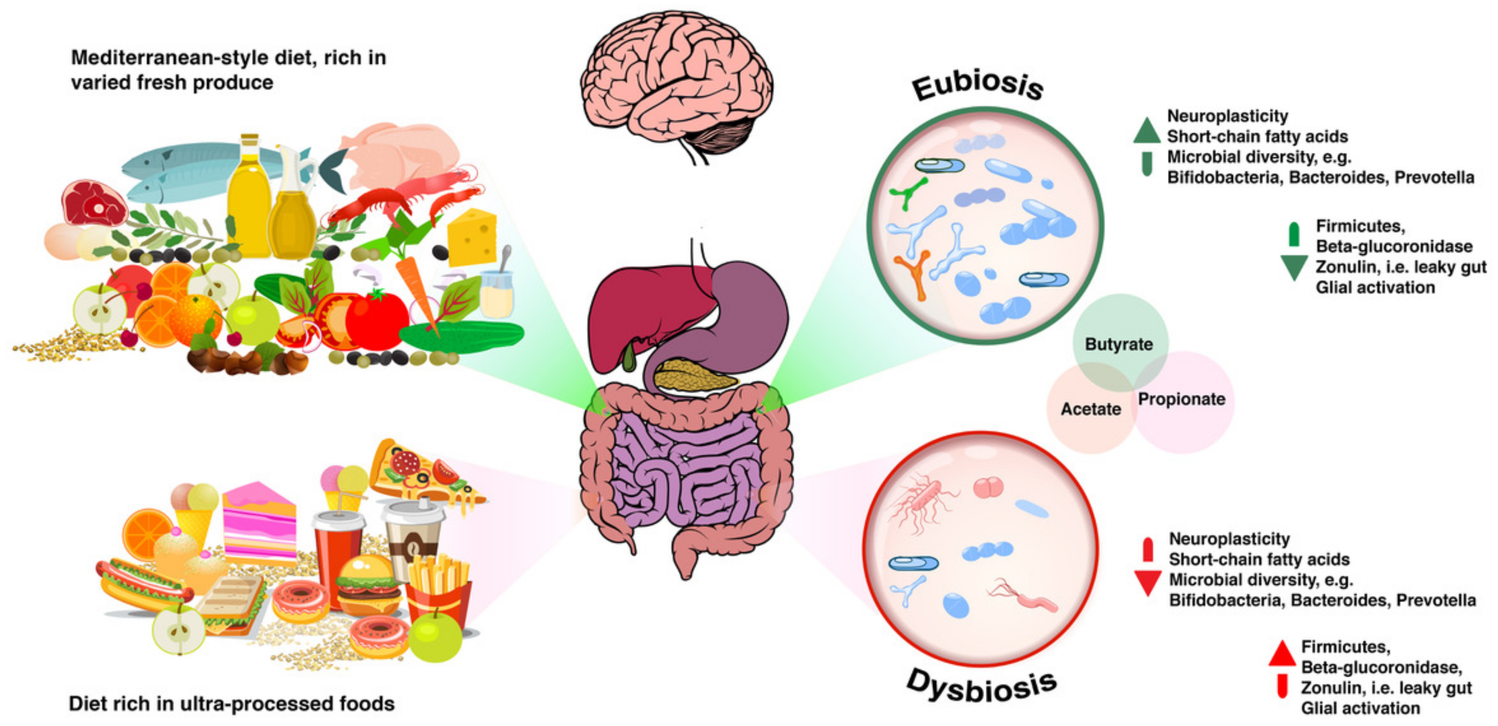 Microorganisms 06 00035 g002