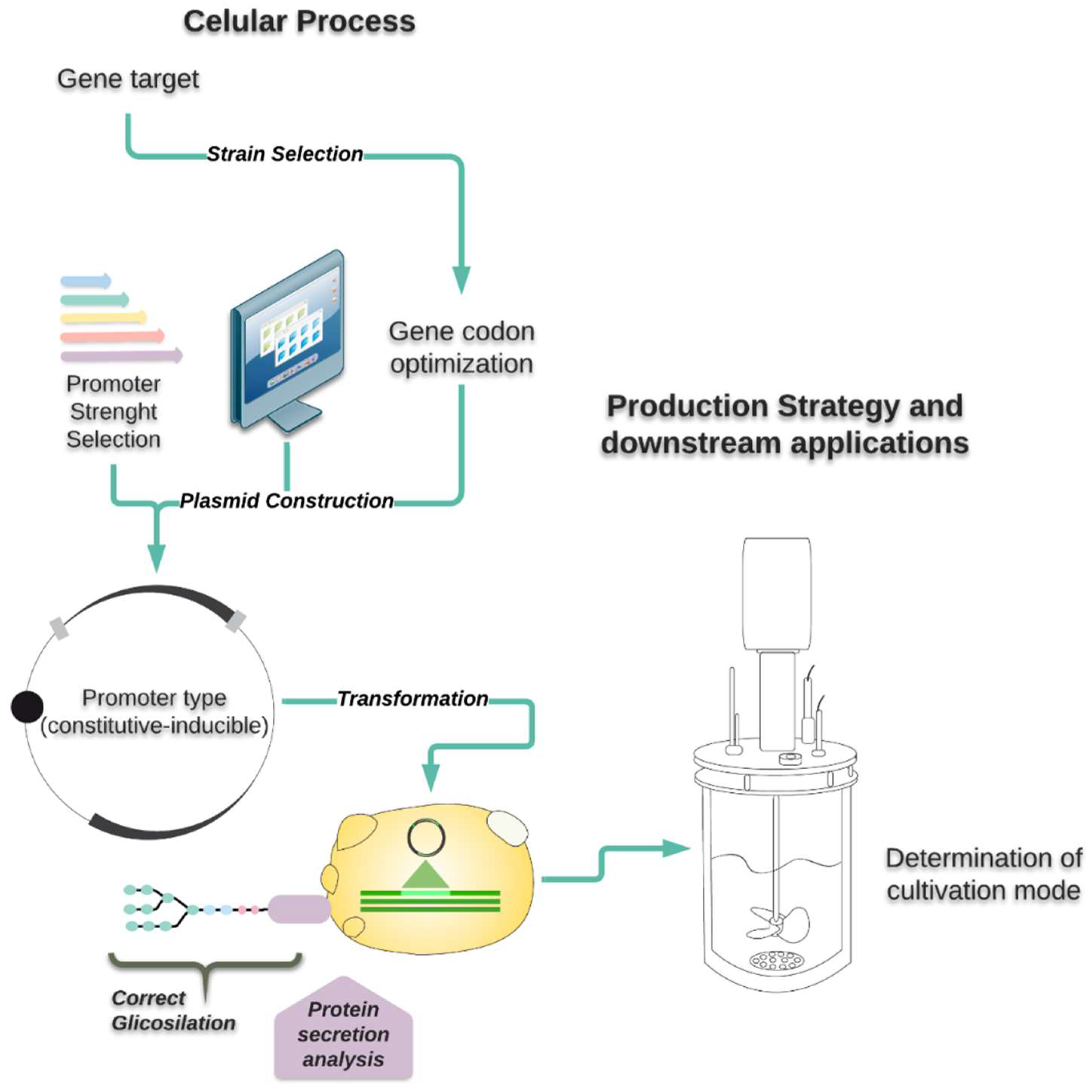 Microorganisms 06 00038 g001