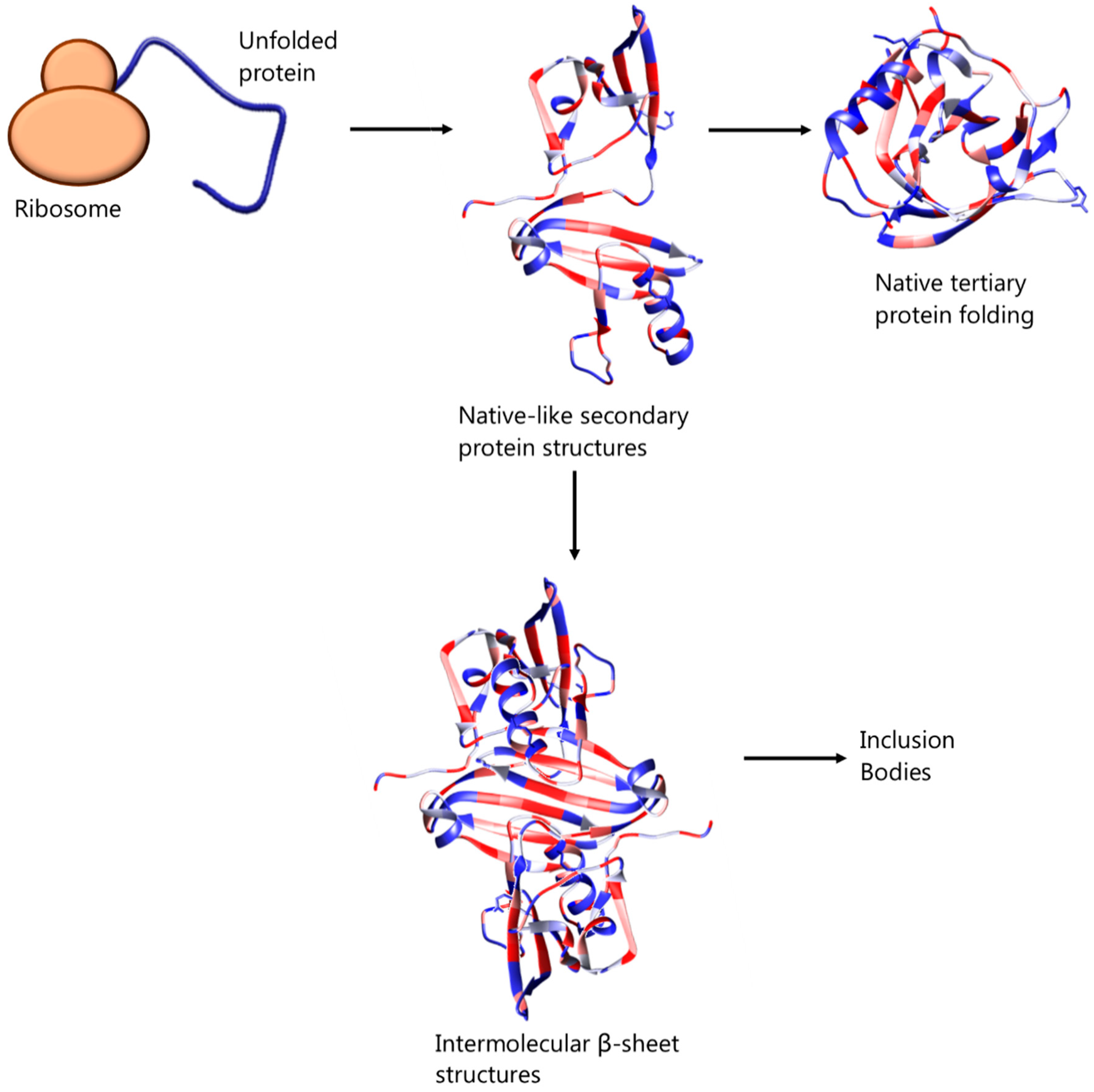 Microorganisms 06 00047 g001