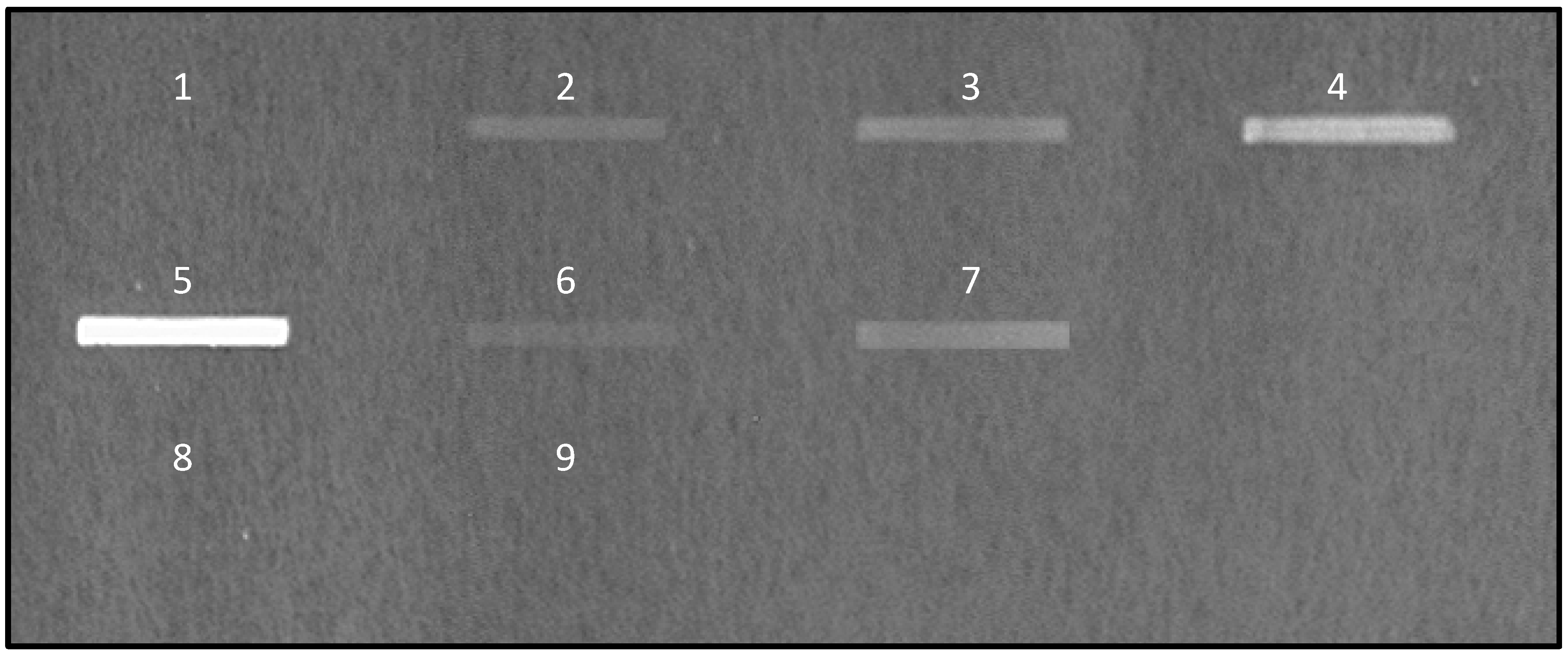 Microorganisms 06 00049 g001