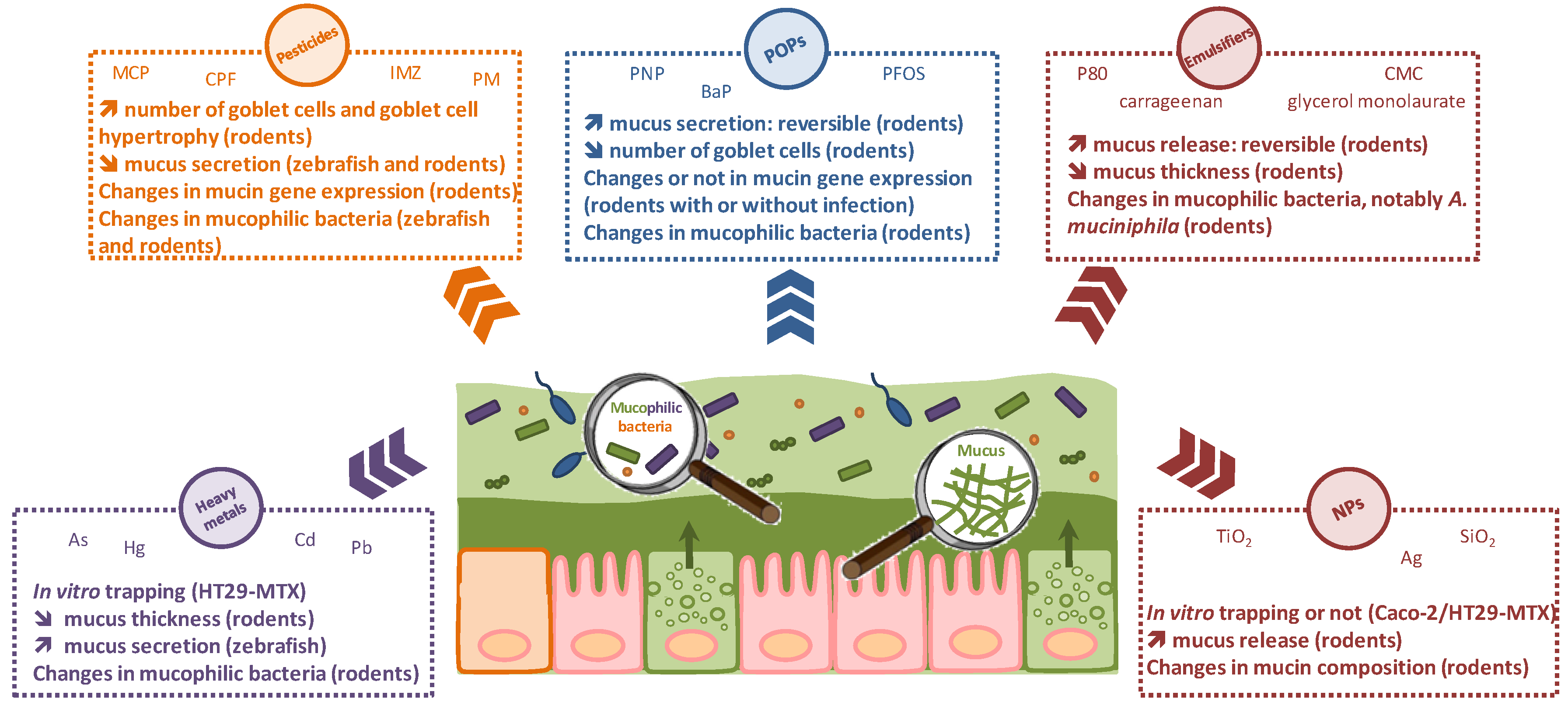 Microorganisms 06 00053 g001