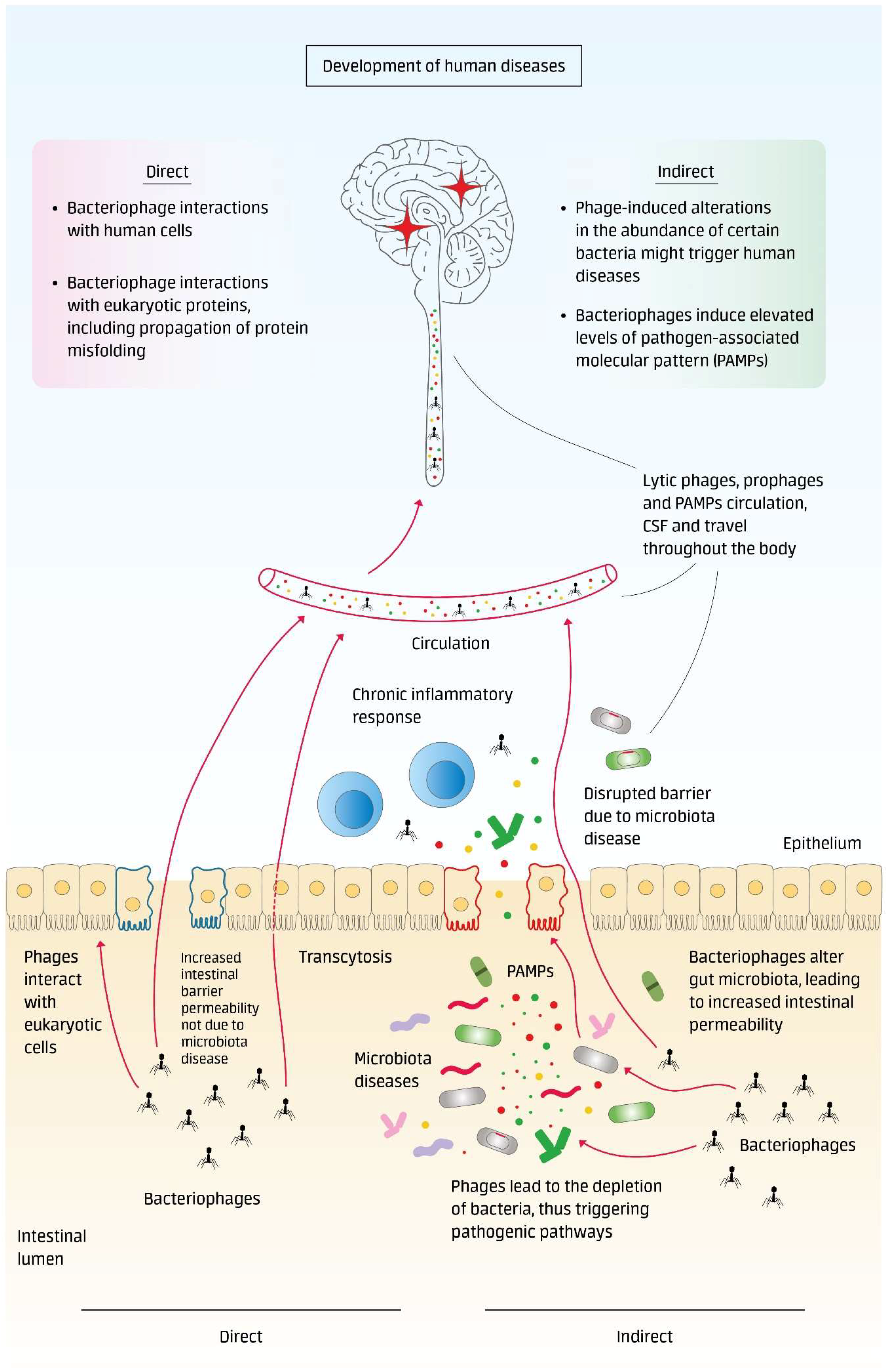 Microorganisms 06 00054 g001