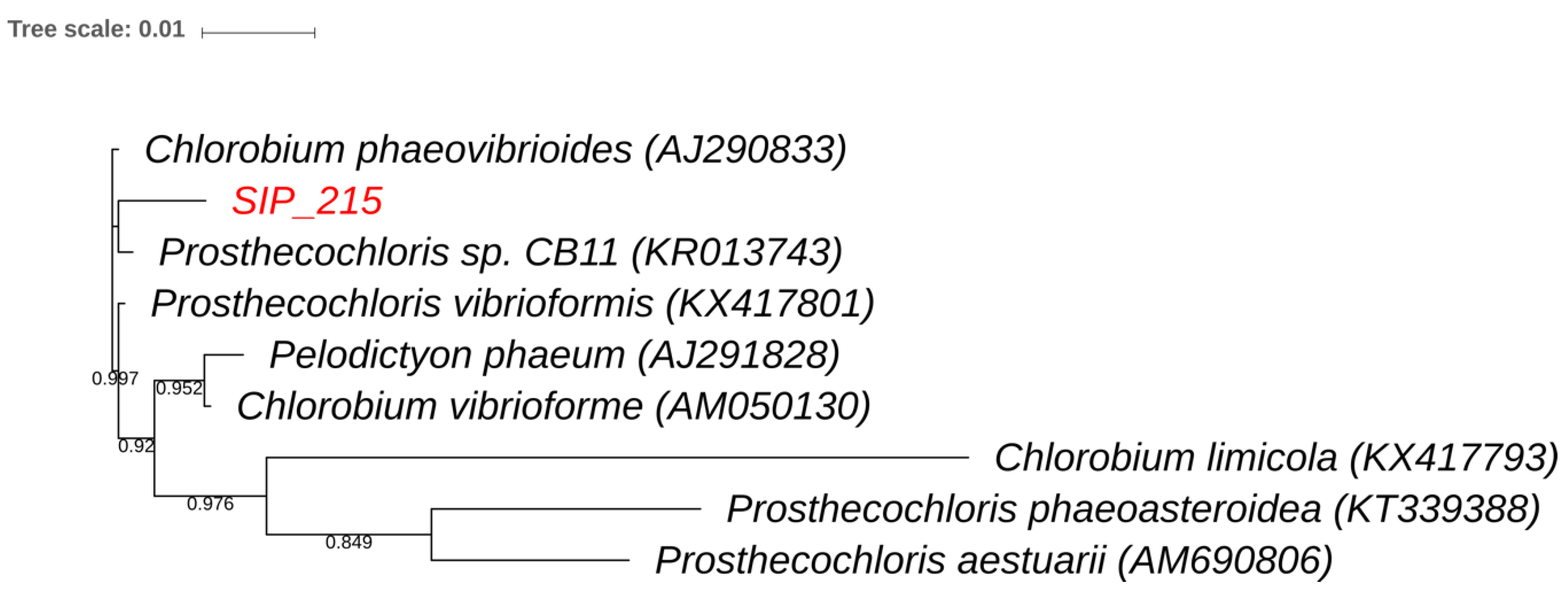 Microorganisms 06 00059 g006
