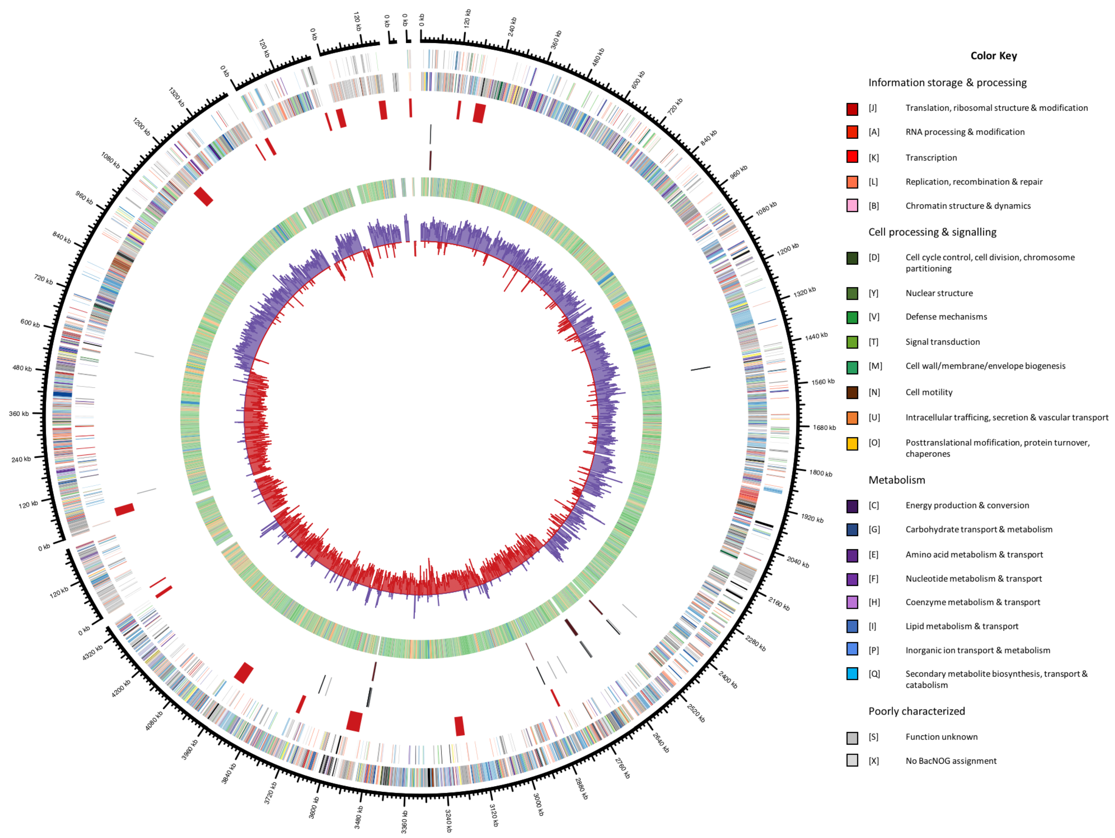 Microorganisms 06 00063 g001