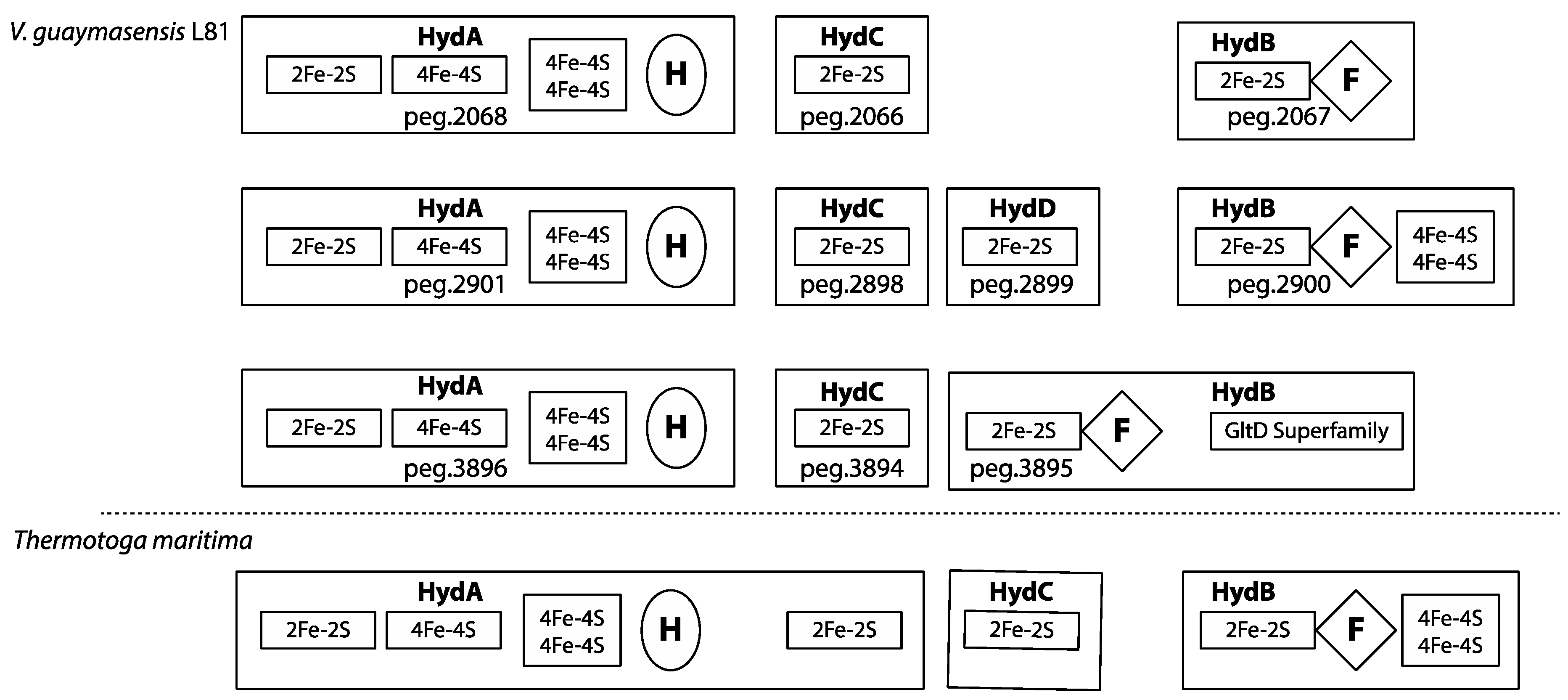 Microorganisms 06 00063 g002